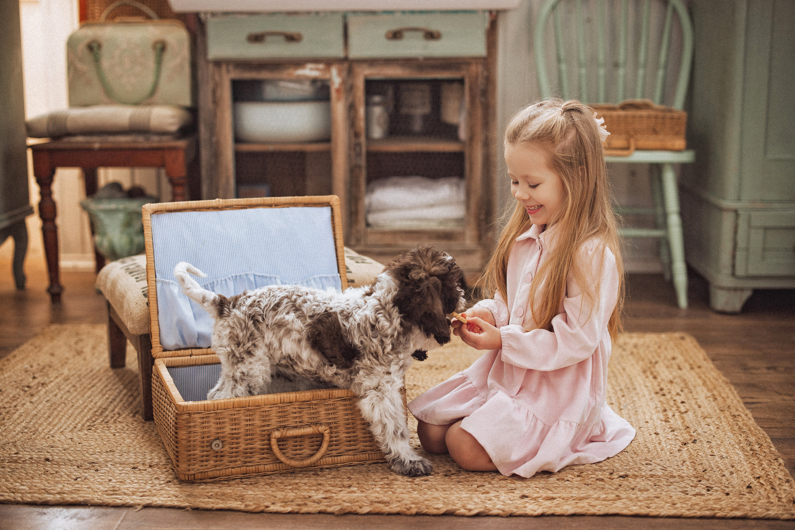 Фотосессия с щенками Лаго́тто-романьо́ло, в Винтажной фотостудии город Краснодар. Семейный и детский фотограф в Краснодаре Анна Трашкова