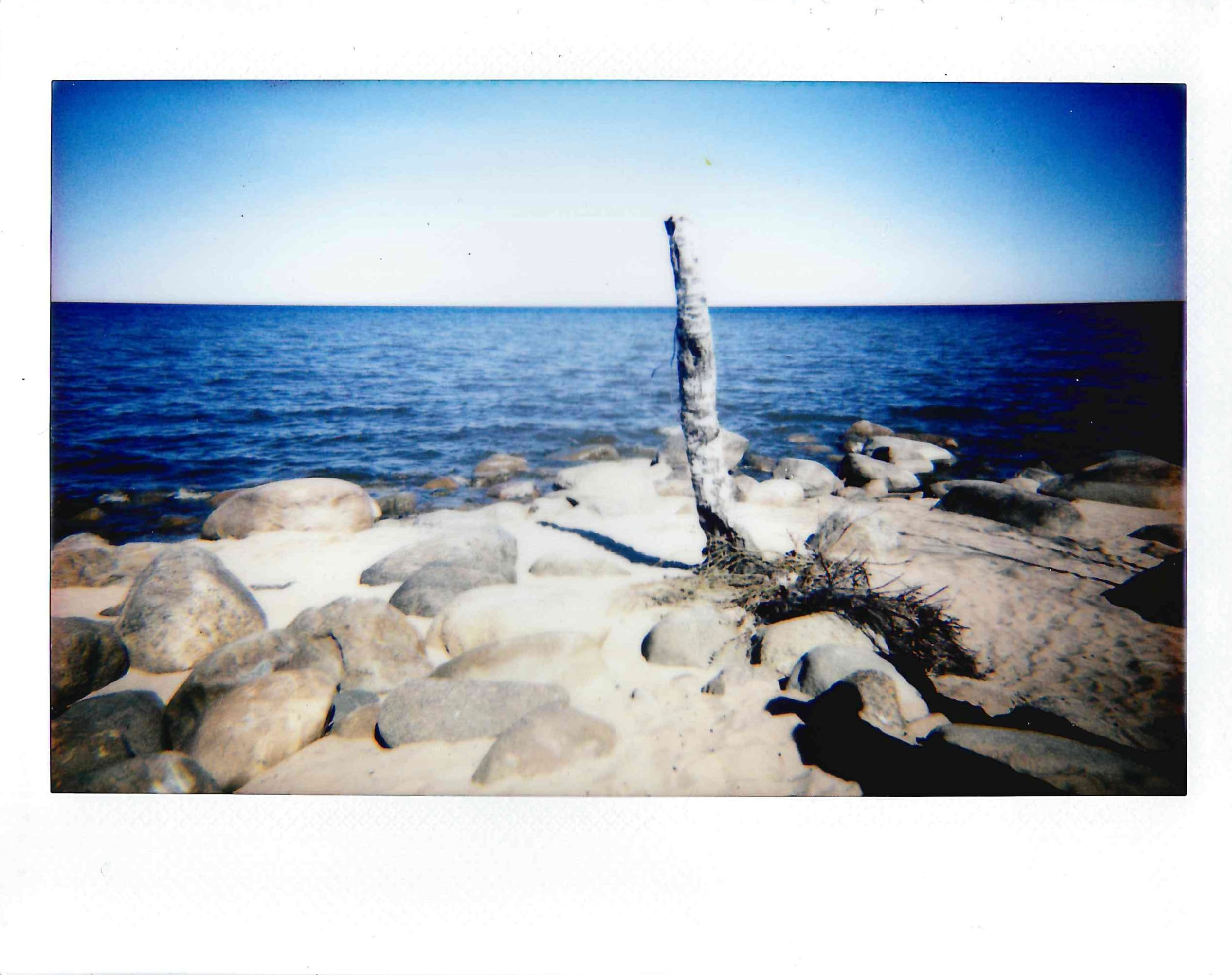 Полароиды. Катерина Эделева