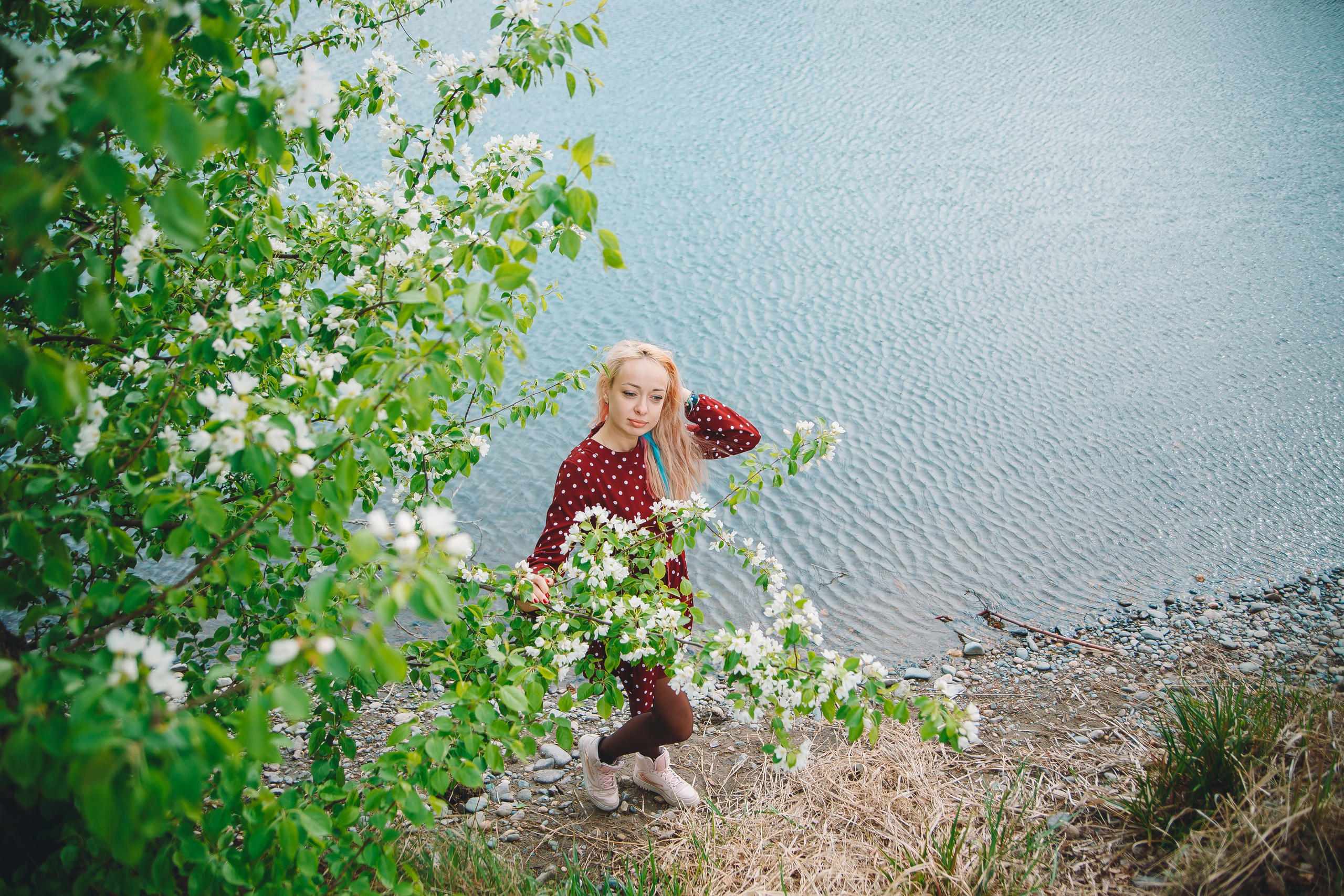 Яблони. Фотограф в Абакане Николай Окунев
