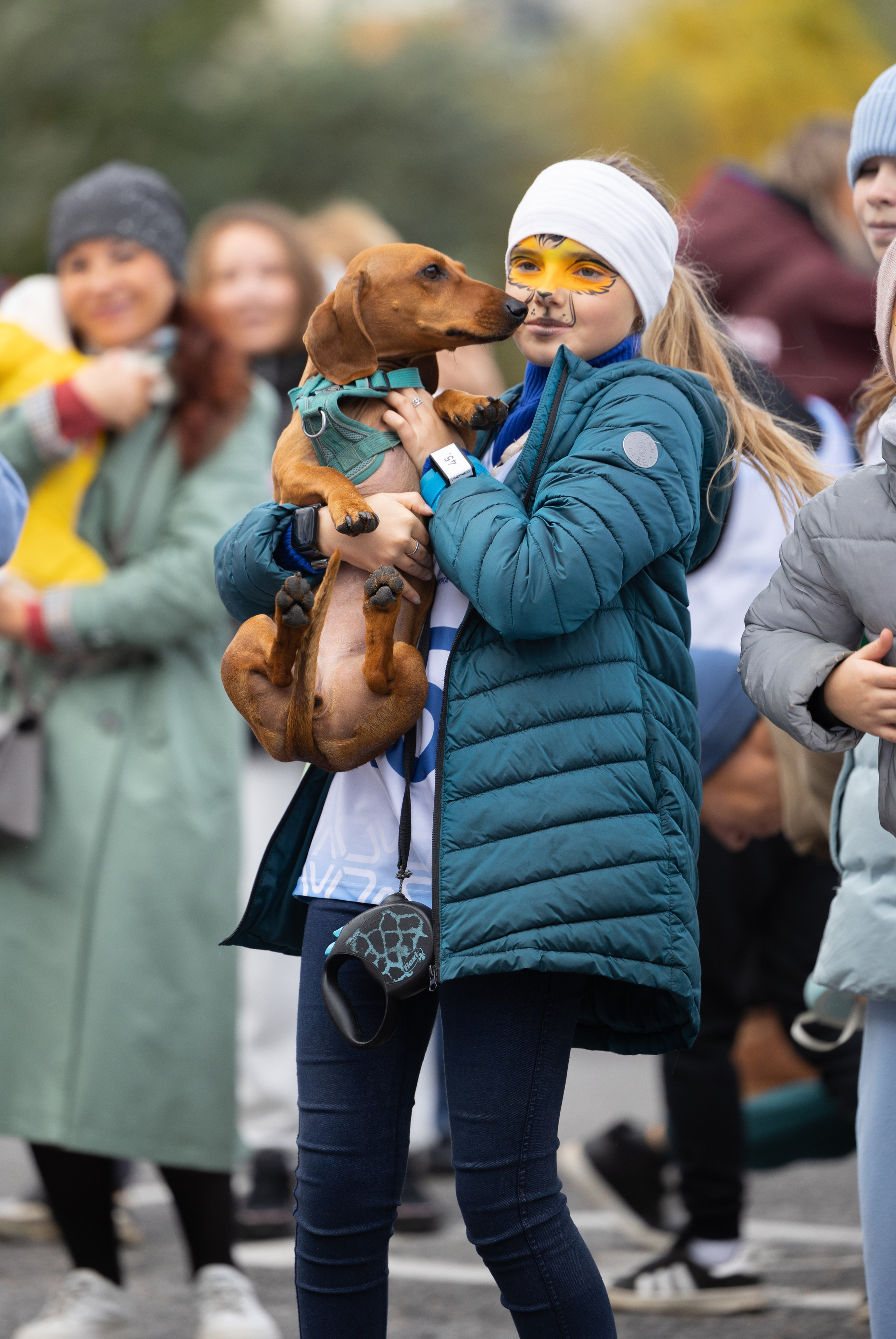 Кросс «Быстрый пёс», Балтийская Жемчужина. Главная