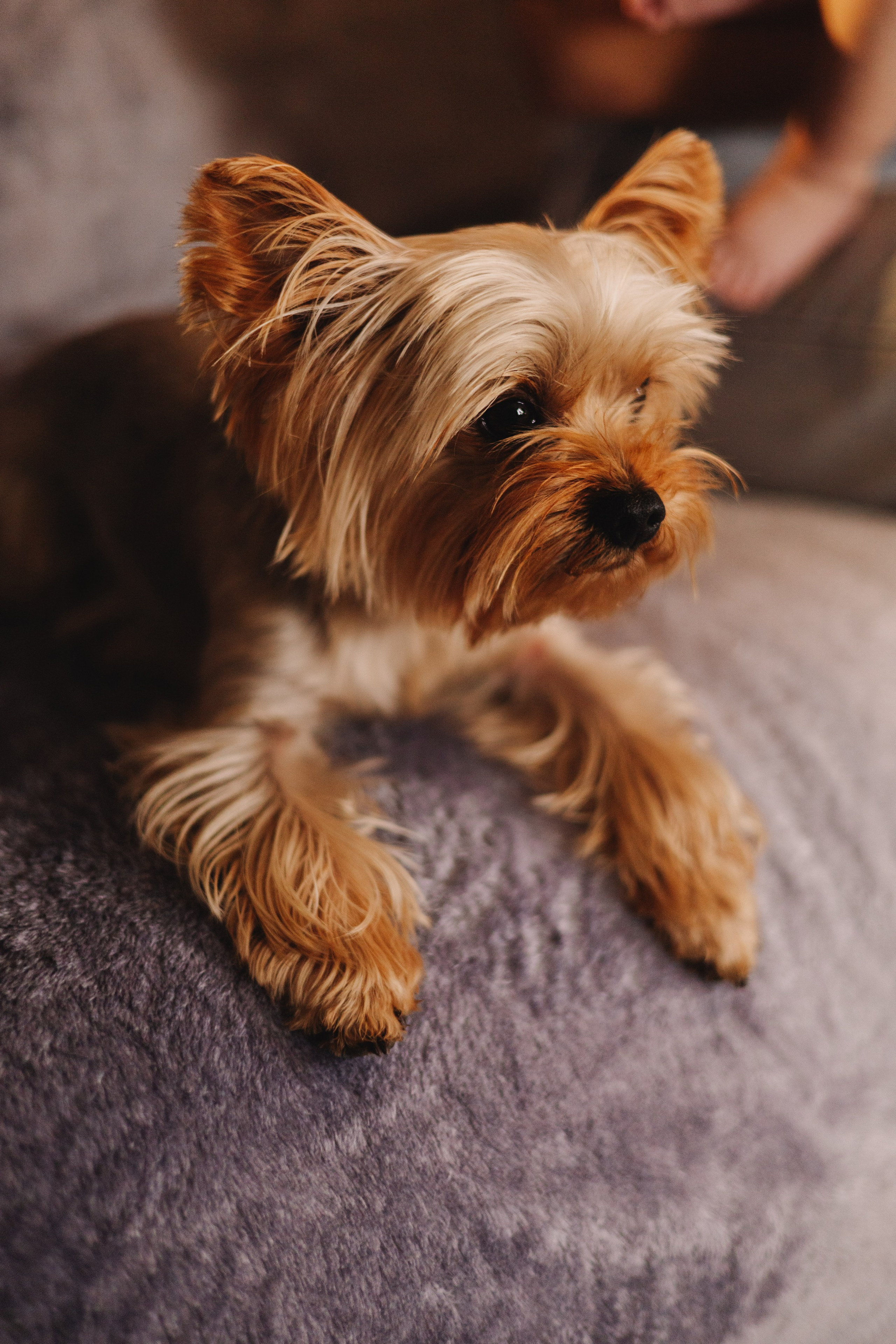 🤍. Детский и семейный фотограф  Биробиджан Оля Светагор