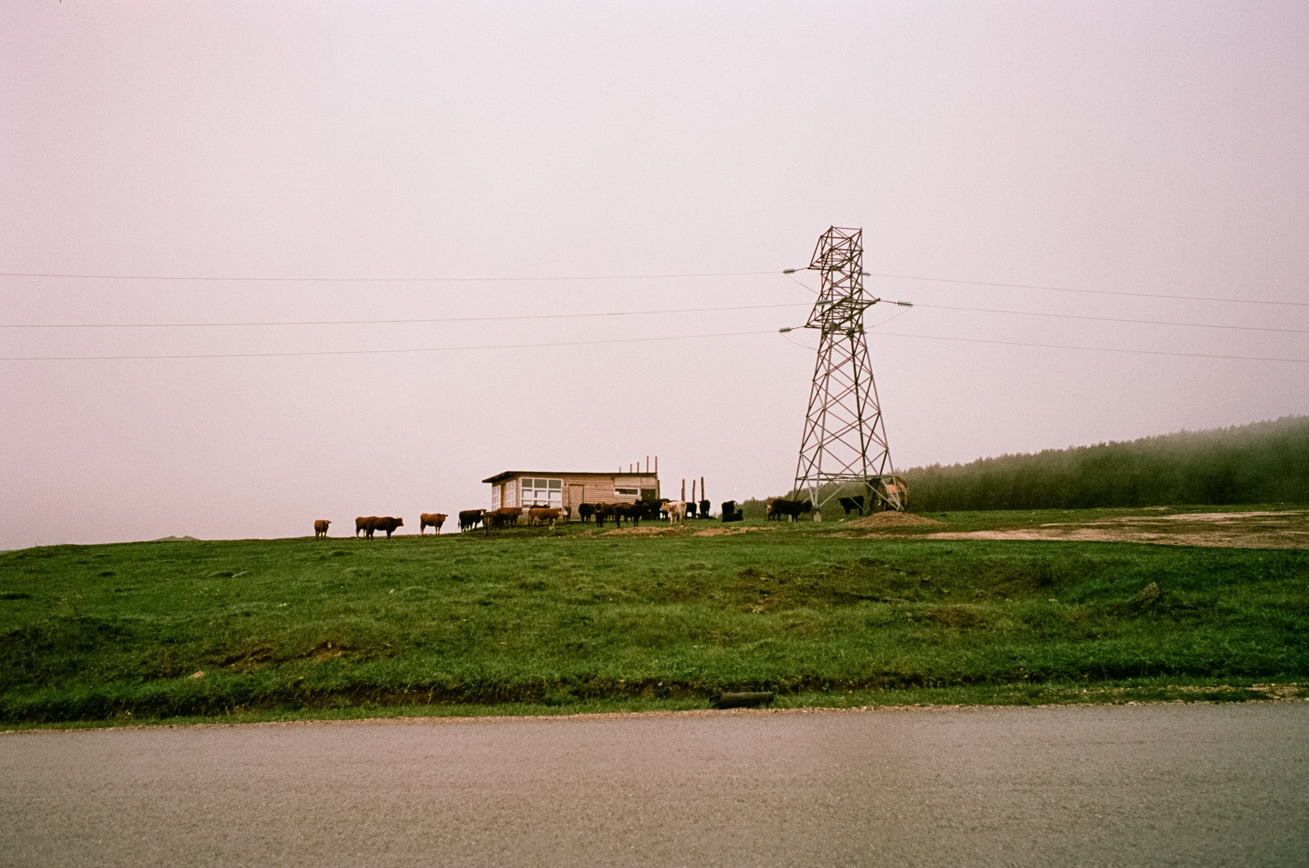 Парк Ессентуки и дорога к перевалу / Kodak Aerocolor IV / BESSA-T