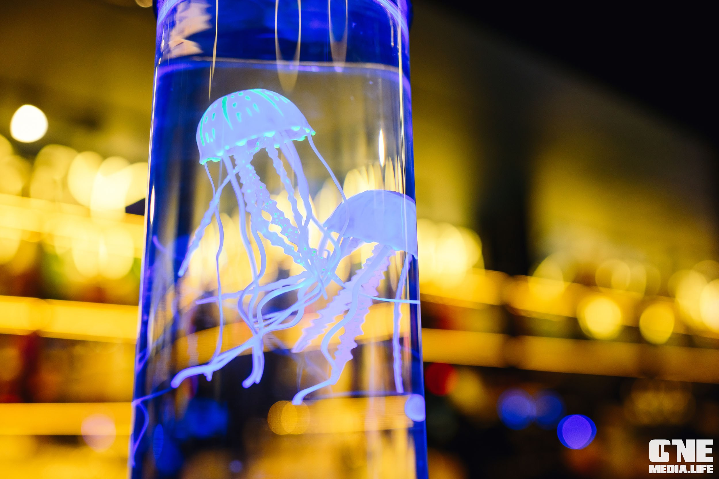 День Космонавтики в ресторане Океан. One Media Life: фоторепортажи, фотоотчеты с мероприятий и заведений