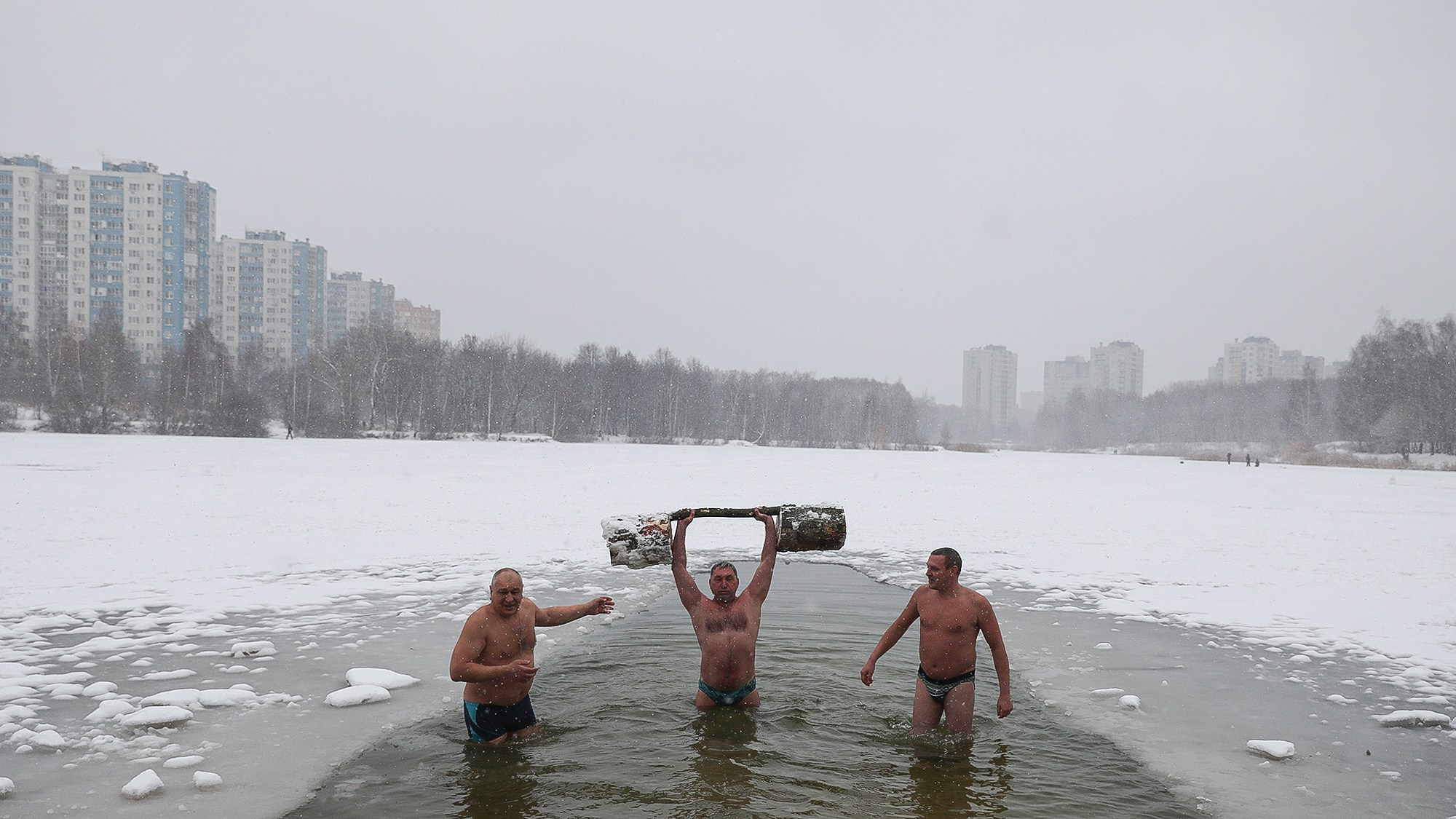 Моржи. Reporter