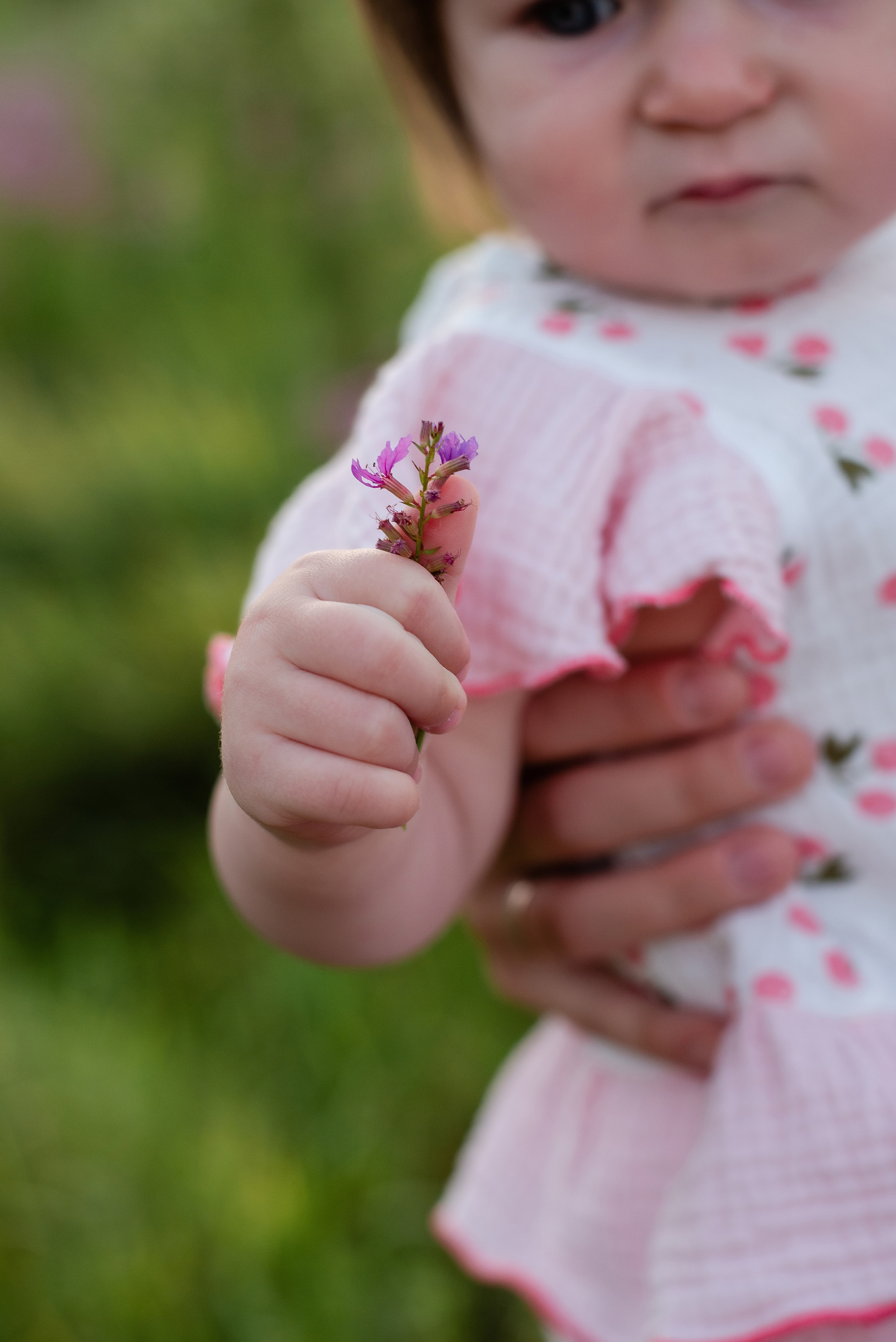 Ирина + Кирилл + Маргарита. Свадебный и семейный фотограф Волгоград Ксения Афонина