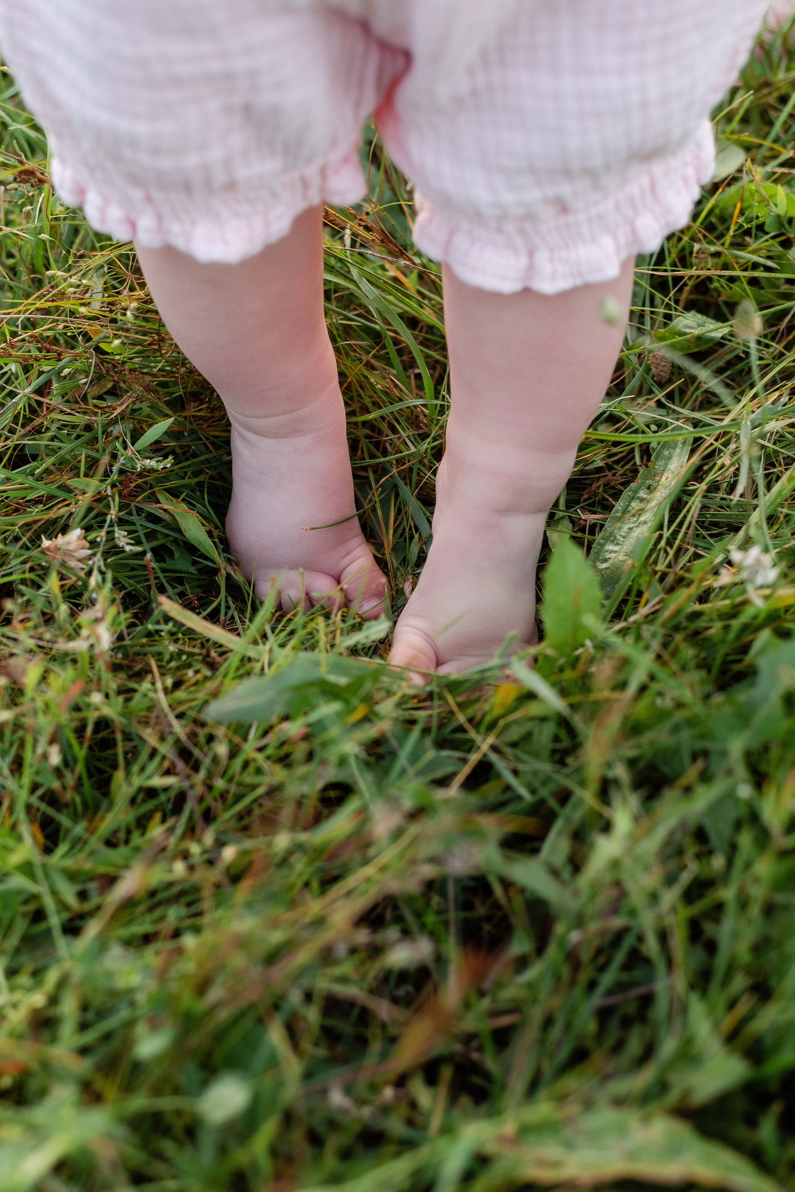 Ирина + Кирилл + Маргарита. Свадебный и семейный фотограф Волгоград Ксения Афонина