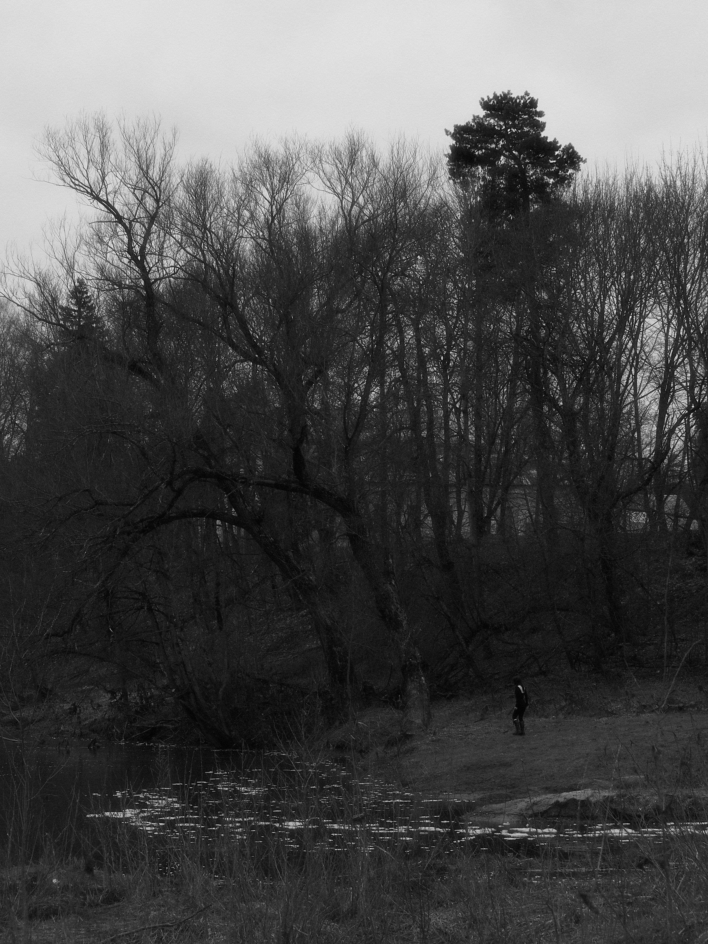 Дарья. Фотограф Елизавета Маслова. Москва. Art, Fashion