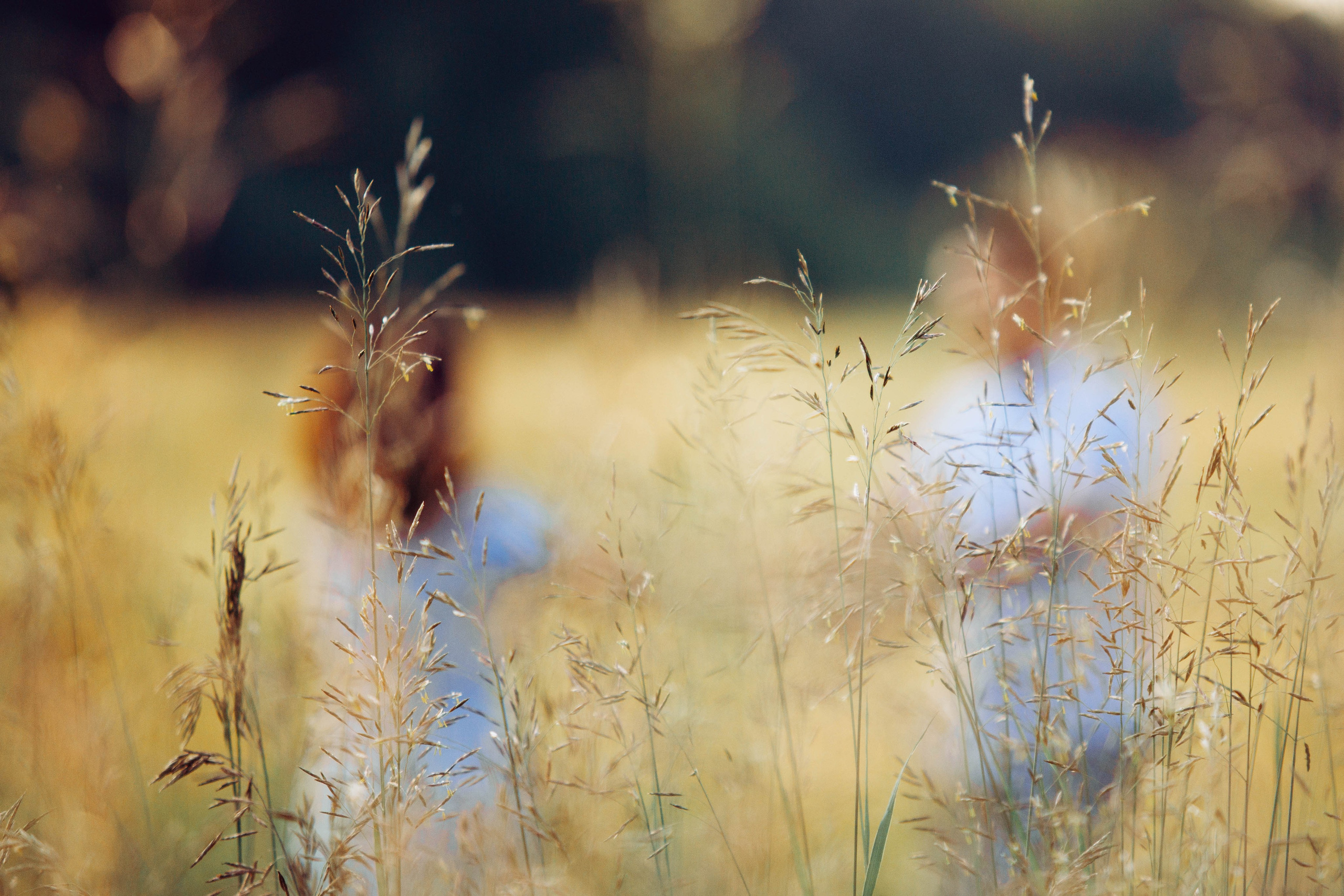 На закат. Арт-фотограф Крис Л. в Тобольске: портрет, семейные, свадьбы