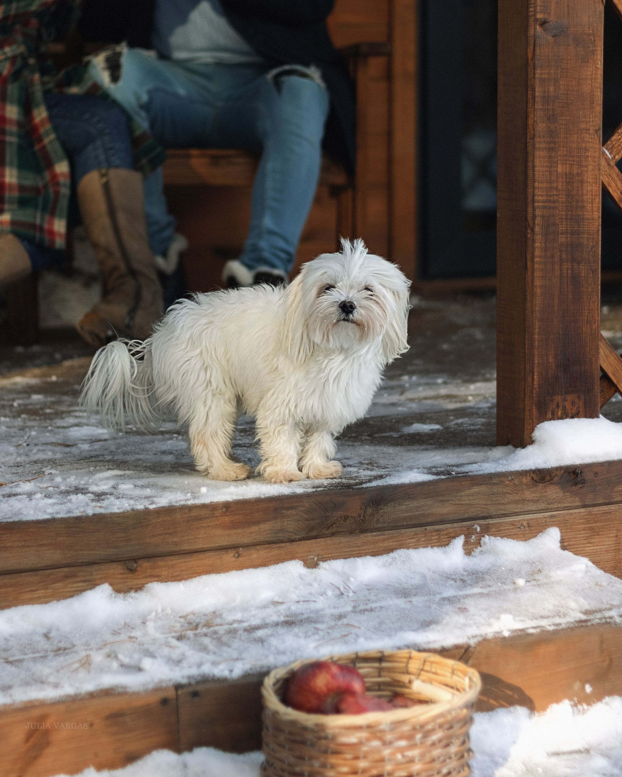 Визуал для бизнеса. Сказочный фотограф в Екатеринбурге Юлия Варгас, фотосессия под ключ