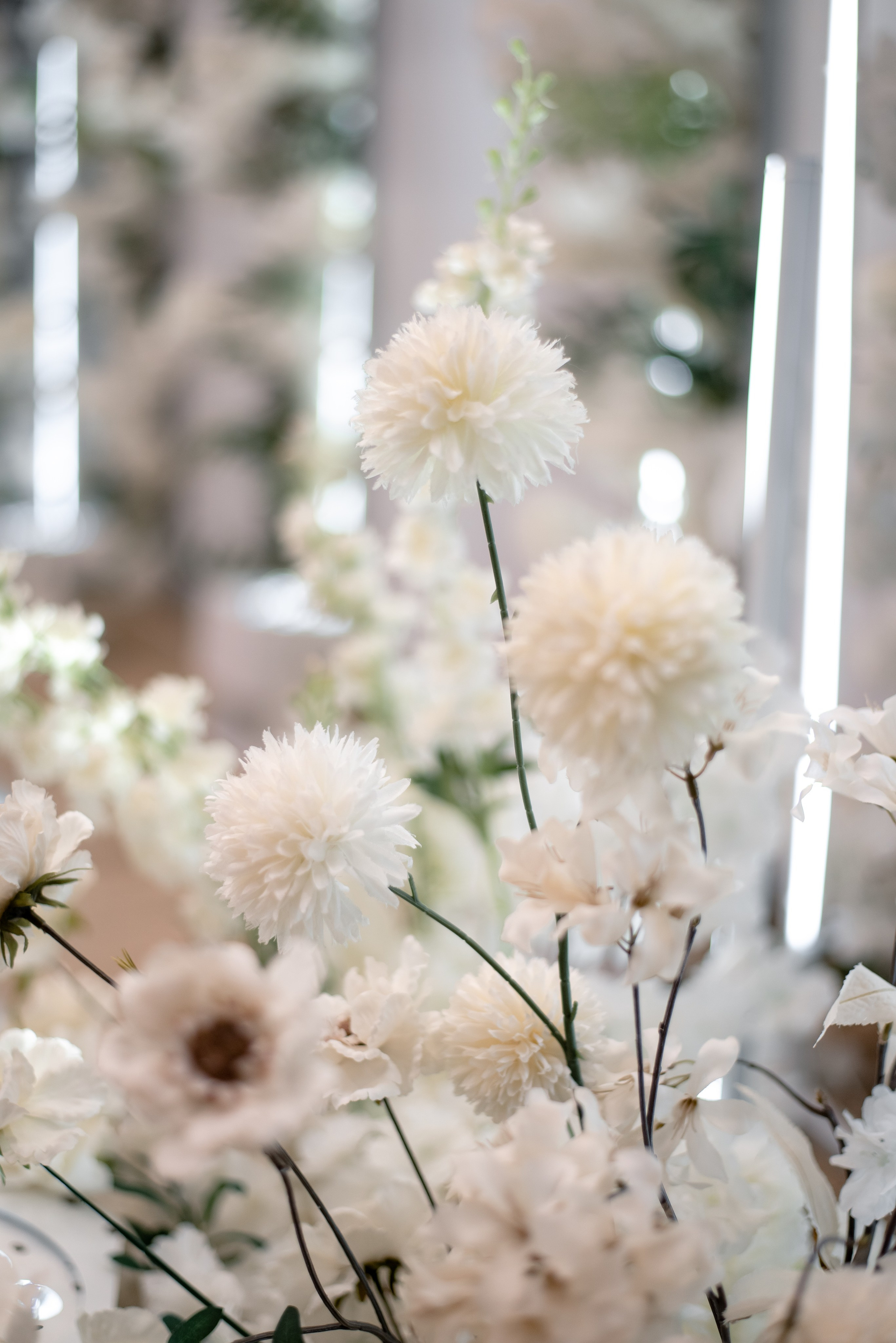 Дмитрий и Анна. Свадебный фотограф Тюмень / Санкт — Петербург Миронова Наталия