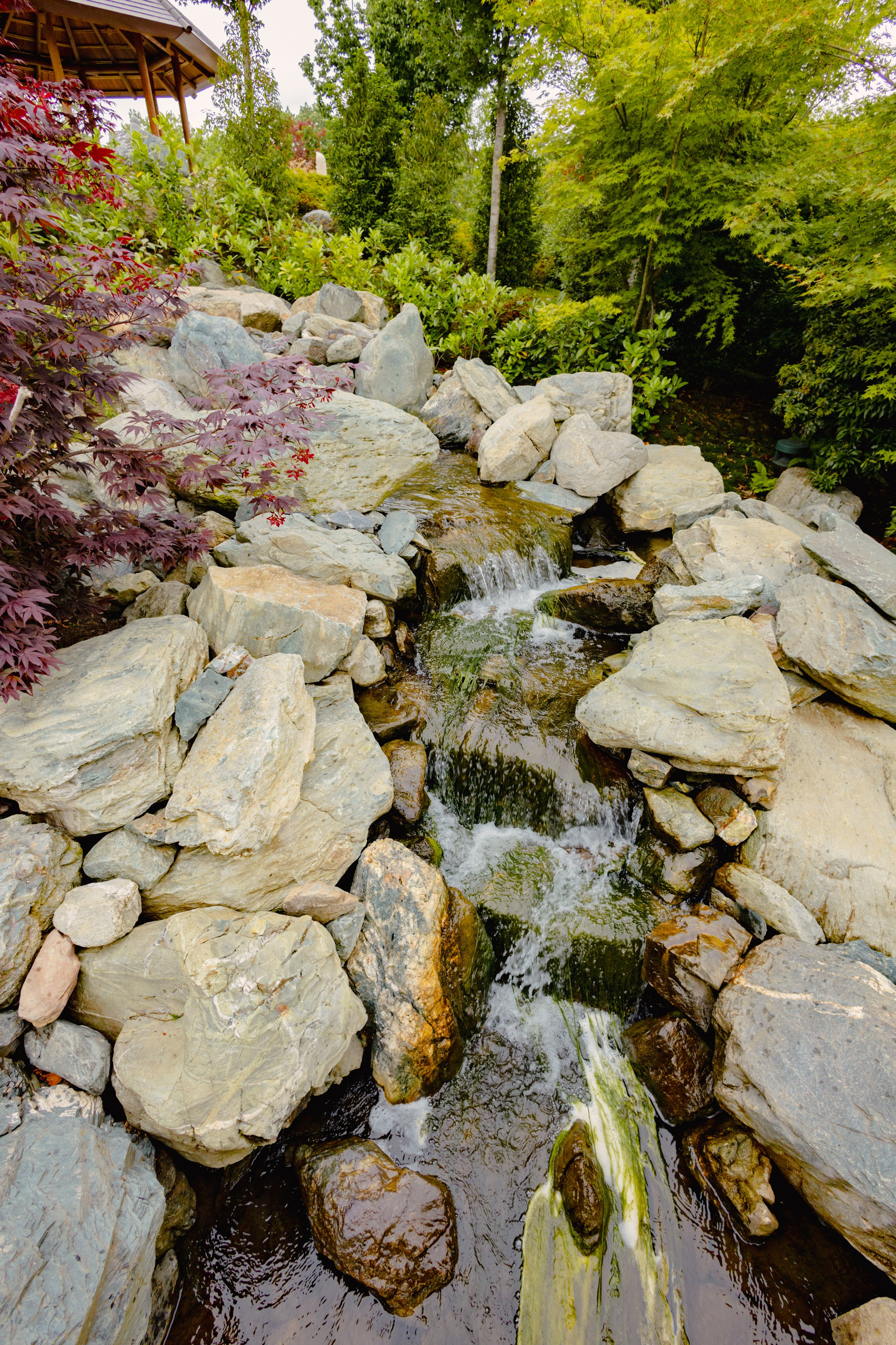 Японский сад в Краснодаре. Профессиональный фотограф и видеооператор