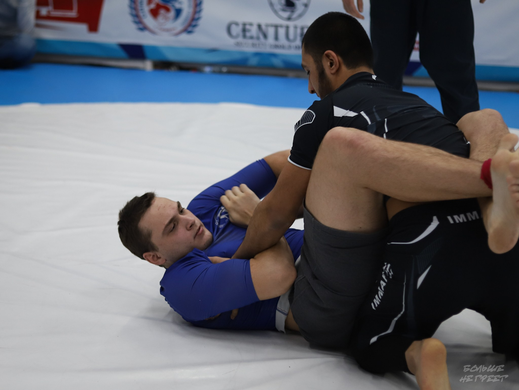 GORILLA PRIDE CUP. Больше не греет