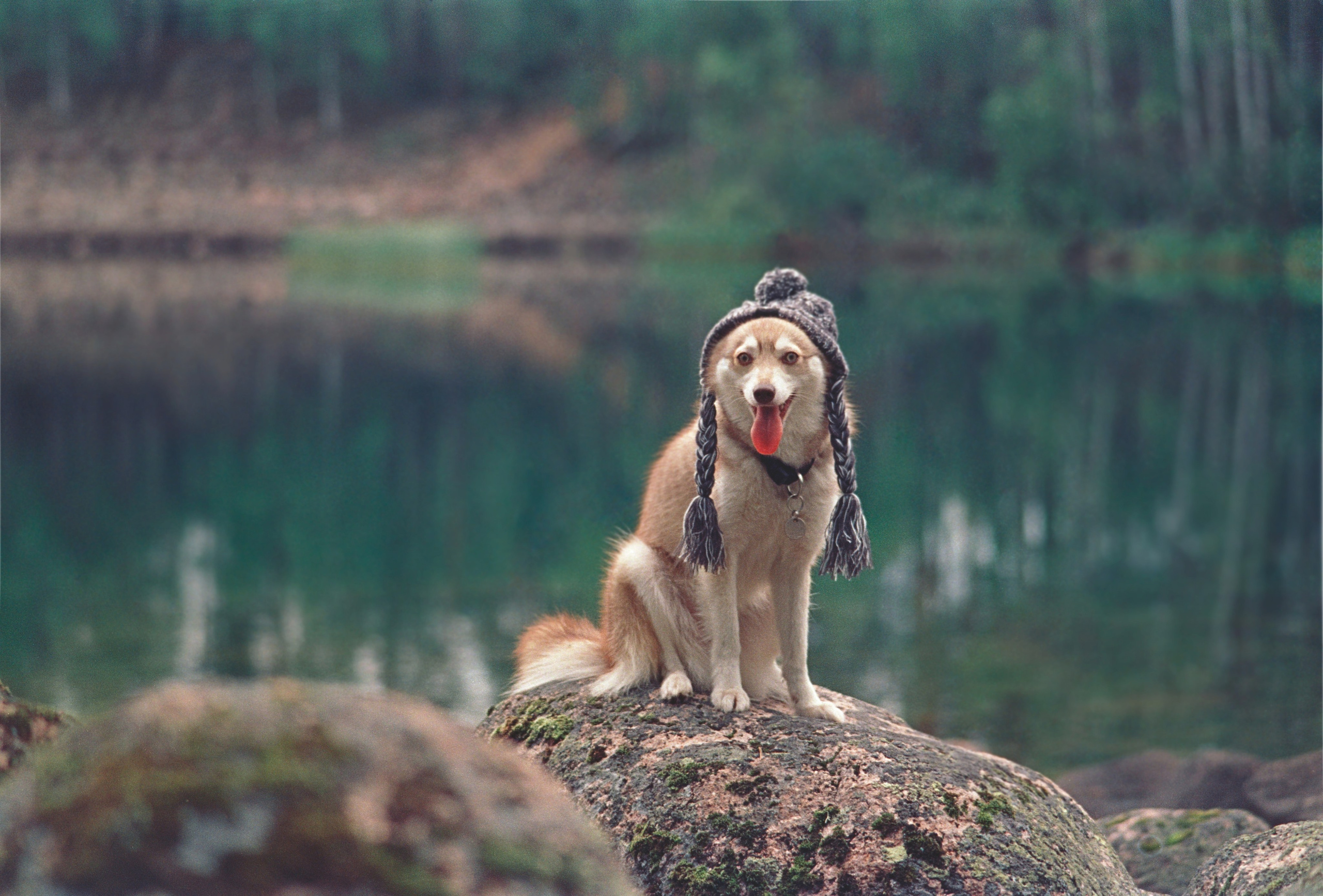 Стилист и плёночный фотограф Анастасия Шлокова в Санкт-Петербурге и Москве