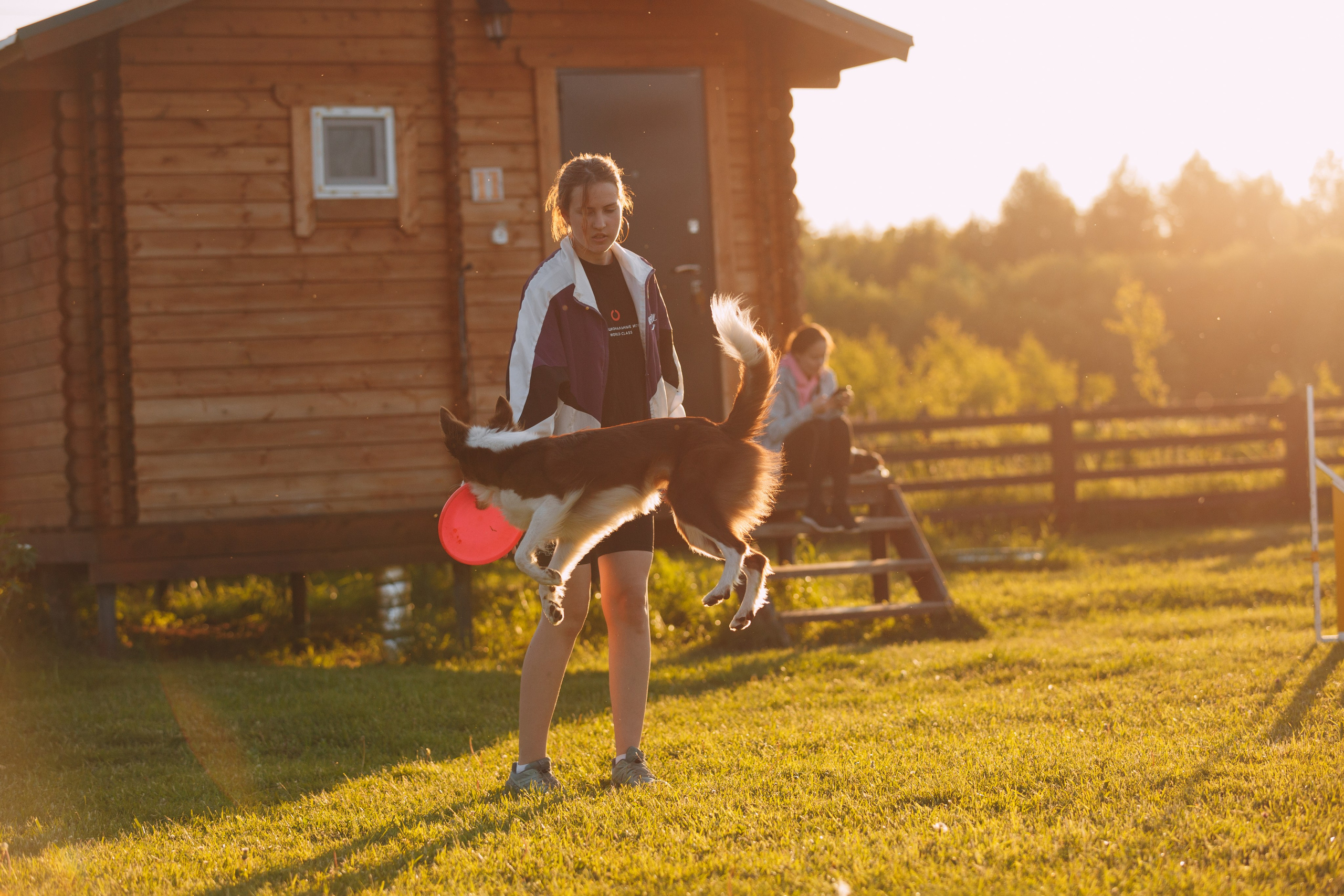 Кинологический лагерь в Горыныче. Фотограф анималист Кристина Карпова, Москва