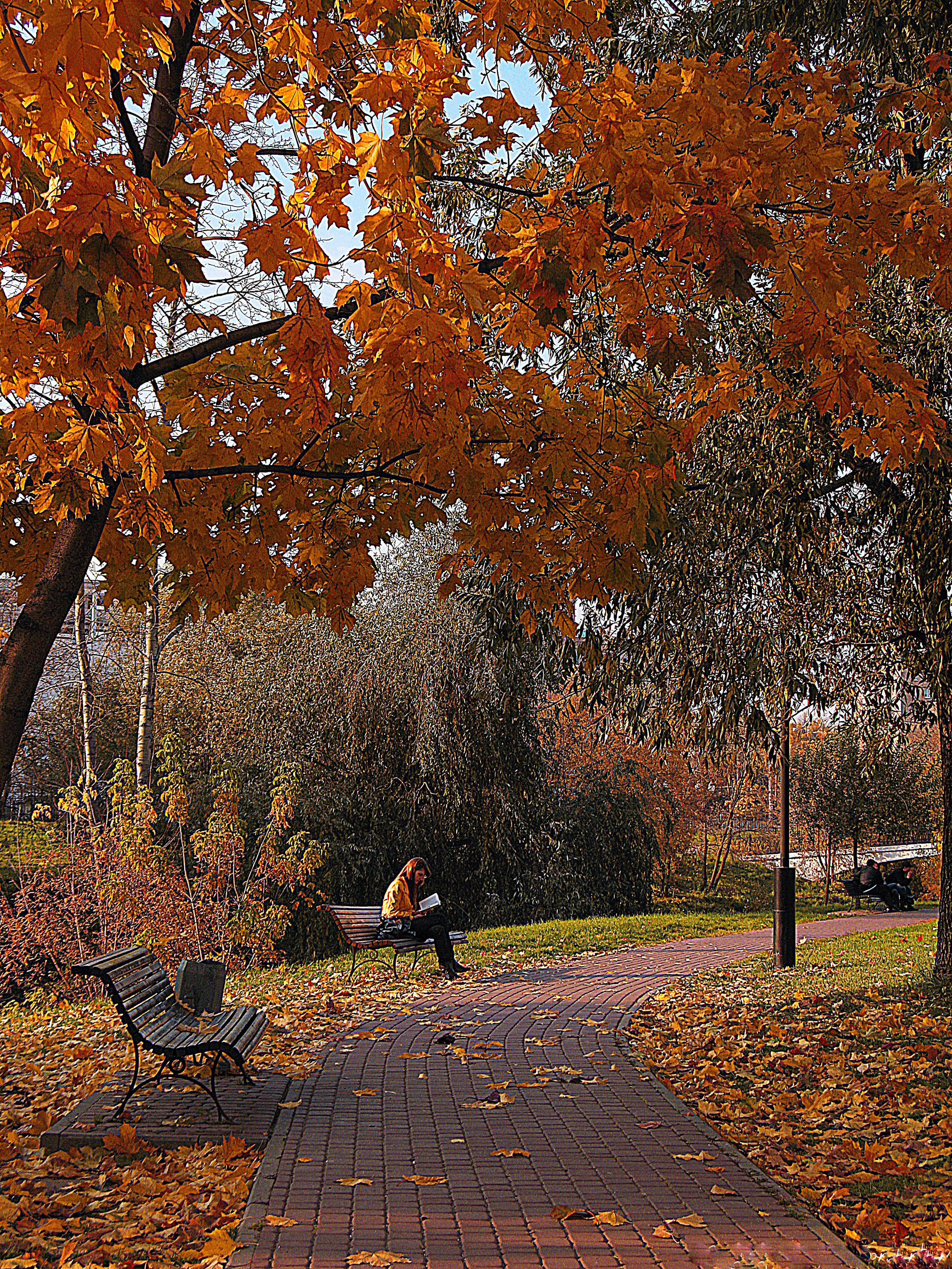 Природа город улица пейзаж урбан стрит urban city ature. •fpsmax• фотограф-ретушер