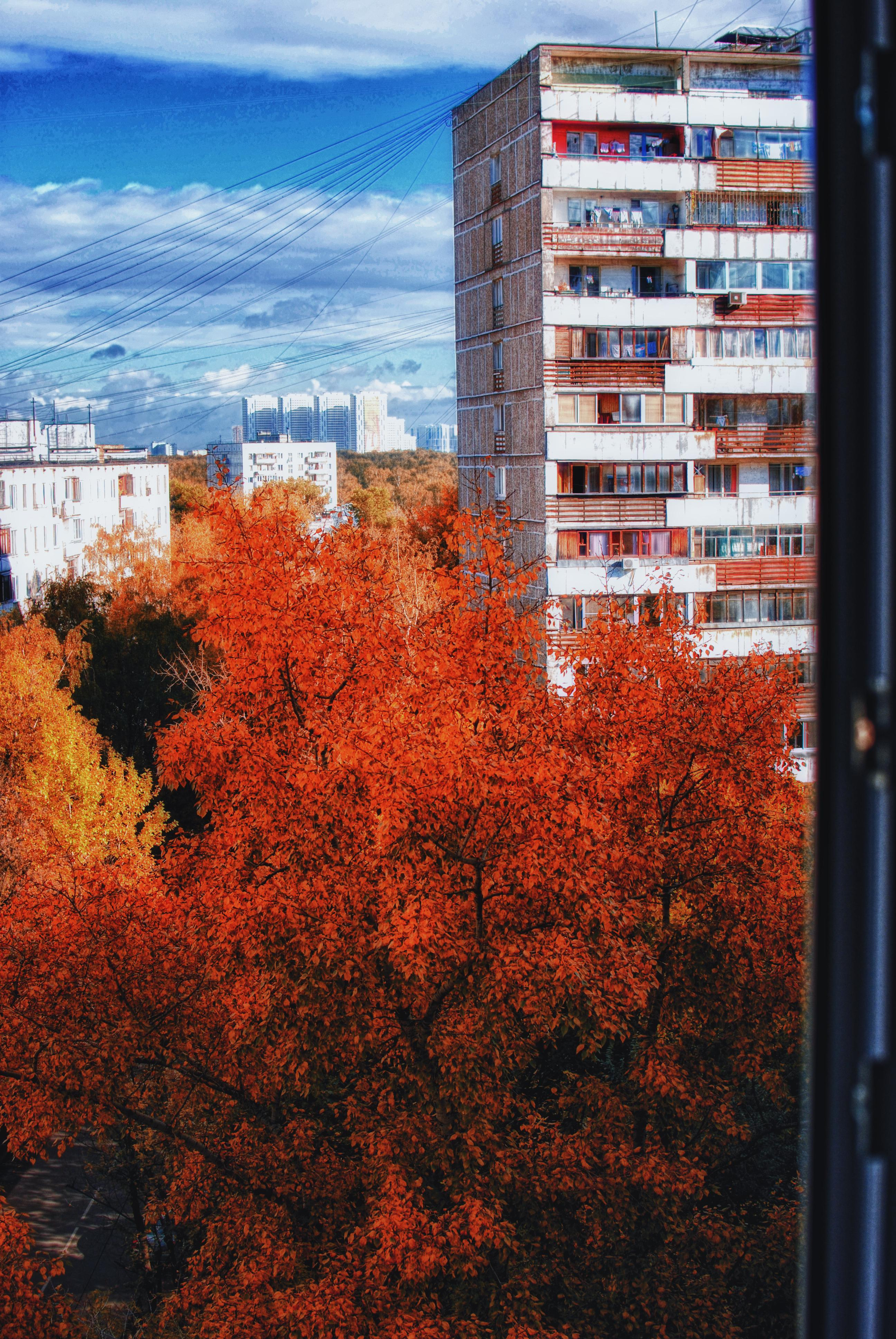 Природа город улица пейзаж урбан стрит urban city ature. •fpsmax• фотограф-ретушер
