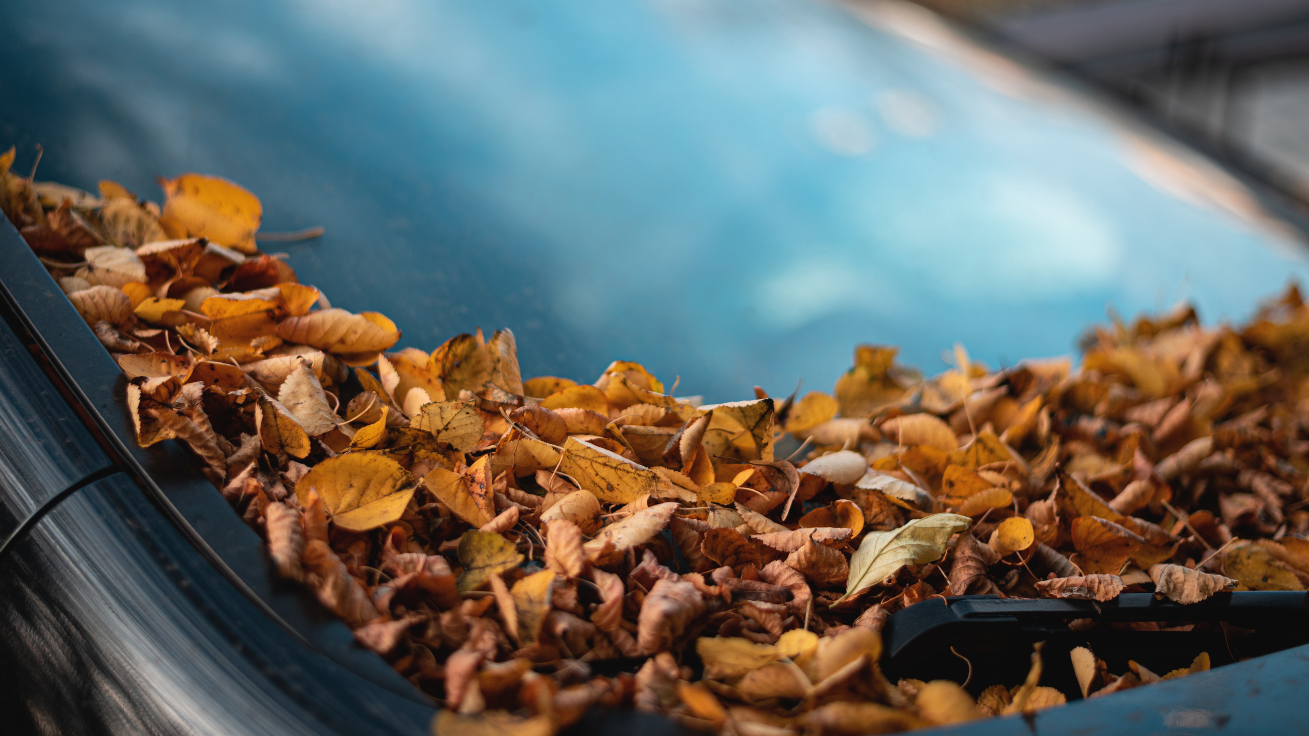 Природа город улица пейзаж урбан стрит urban city ature. •fpsmax• фотограф-ретушер