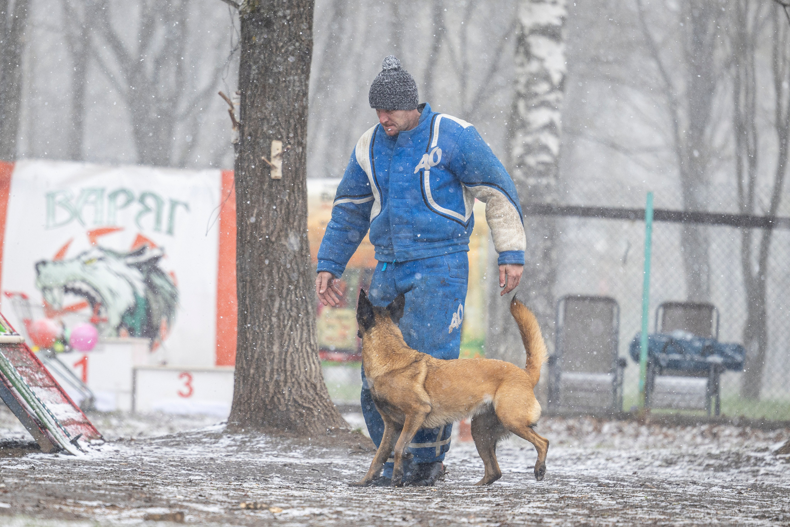 Квалификационные состязания по мондьорингу г. Вологда 11.05.24. Фотограф-анималист Анна Маринич