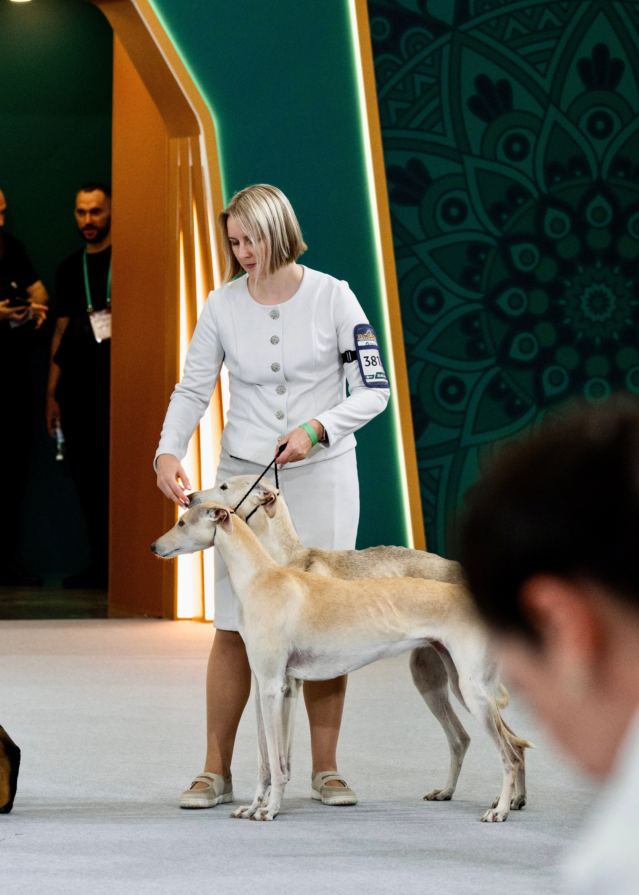Dog Show. Давыденко Анна / Фотограф Краснодар/Сочи