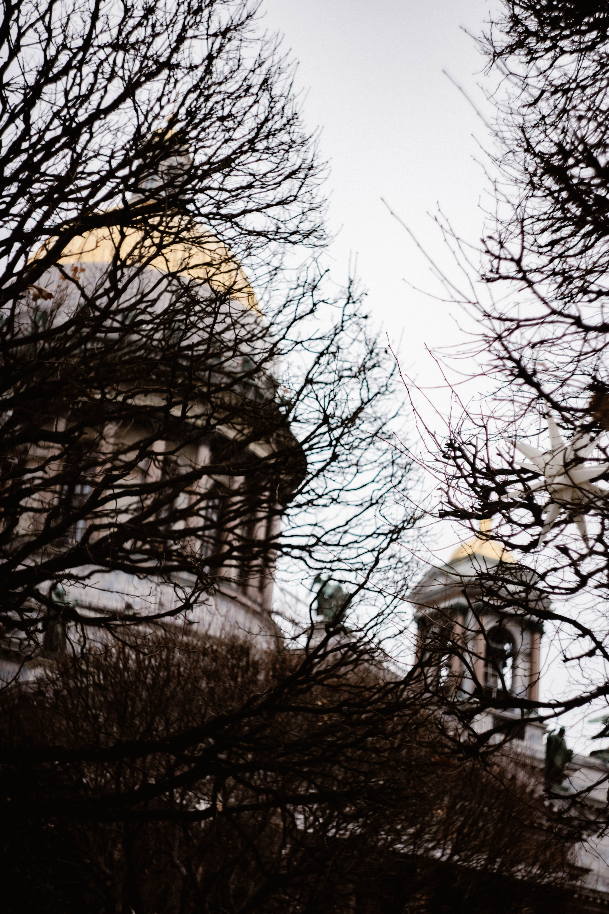 Питер / 24. Фотограф в Нижнем Новгороде