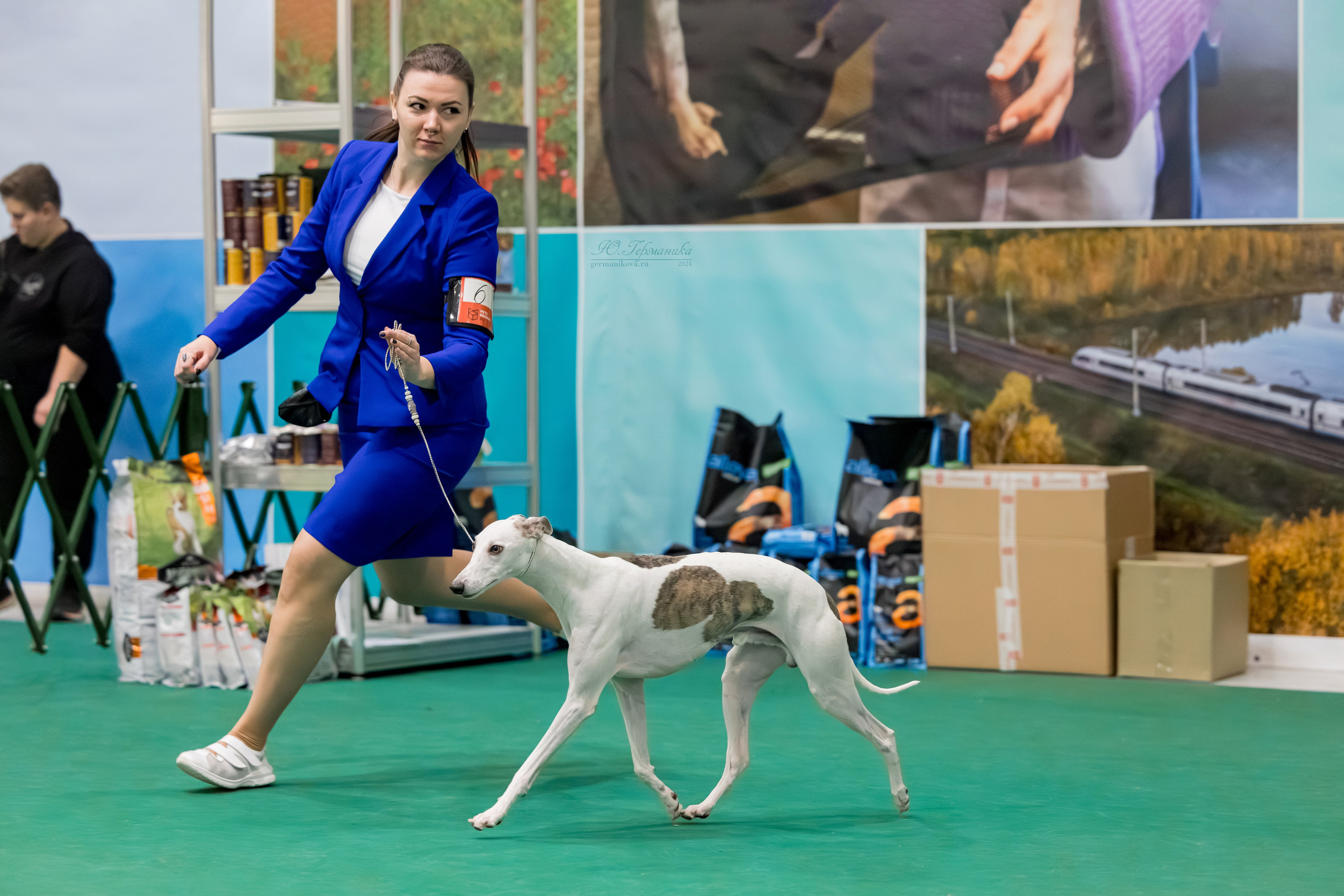 Крокус 21.12.2024,Сфера 29.12.2024. Фотограф-анималист Юлия Германика