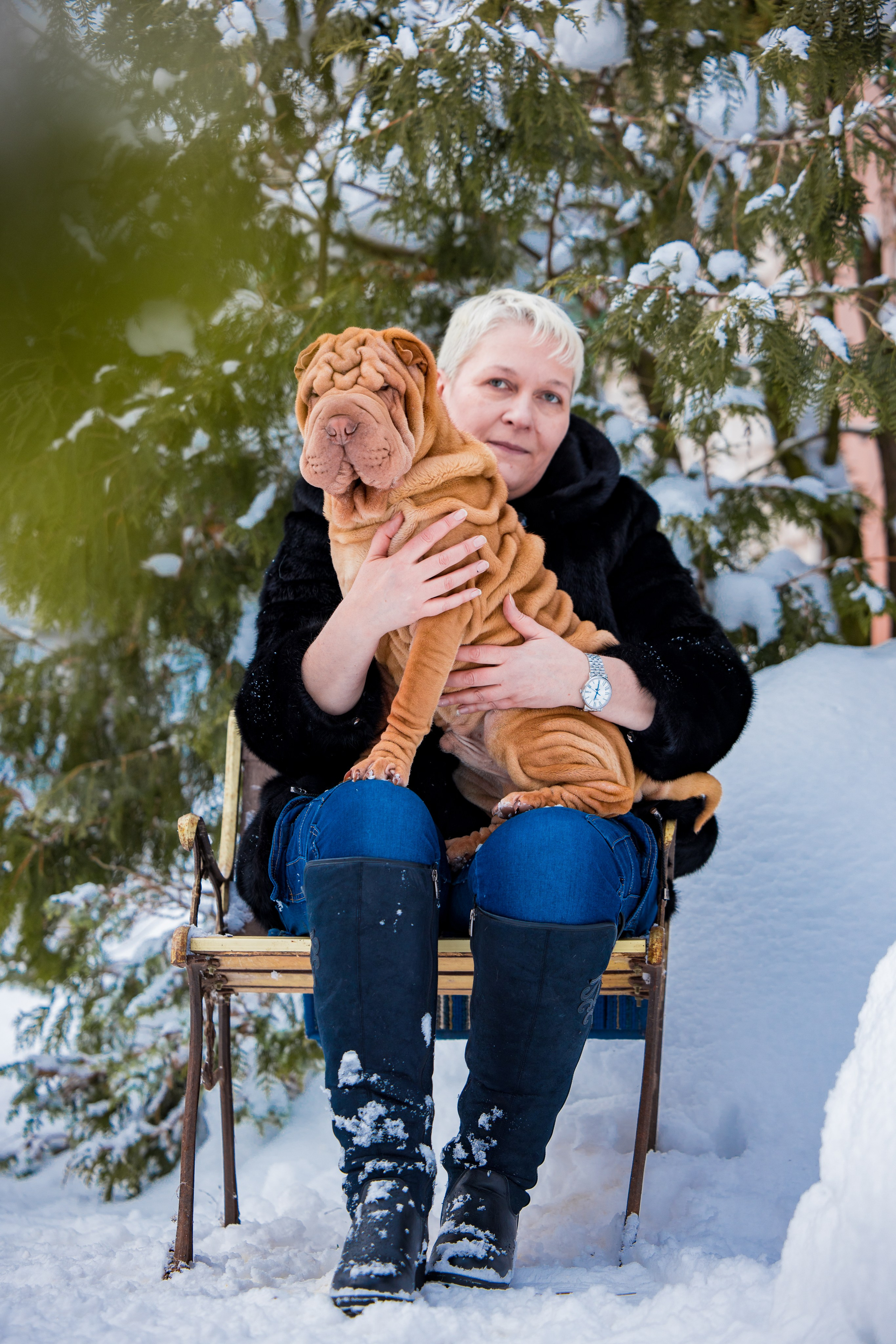 В гостях у шарпеев 16.01.2024. Фотограф-анималист Юлия Германика