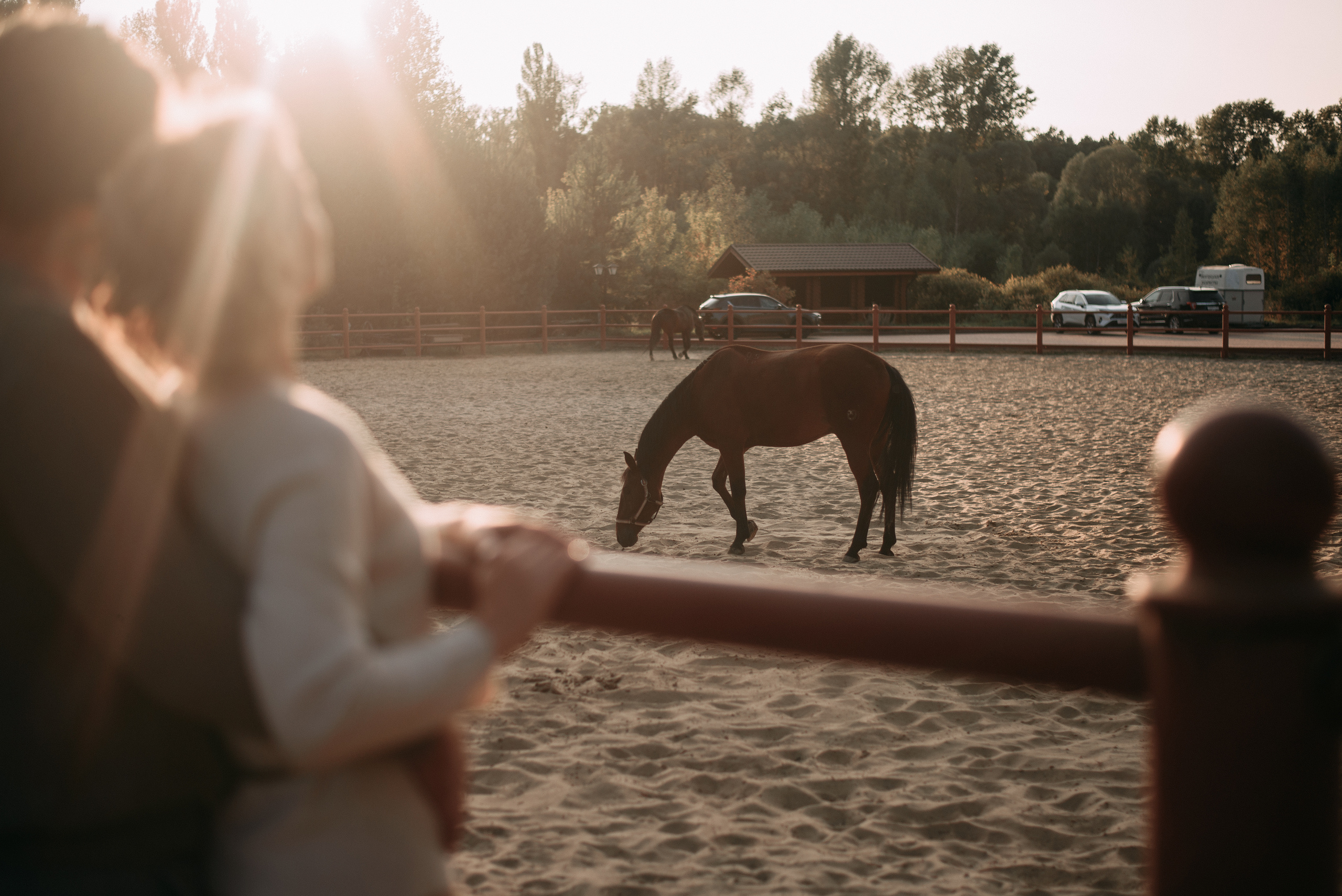 Фотосессия на конюшне. Свадебный фотограф Белгород