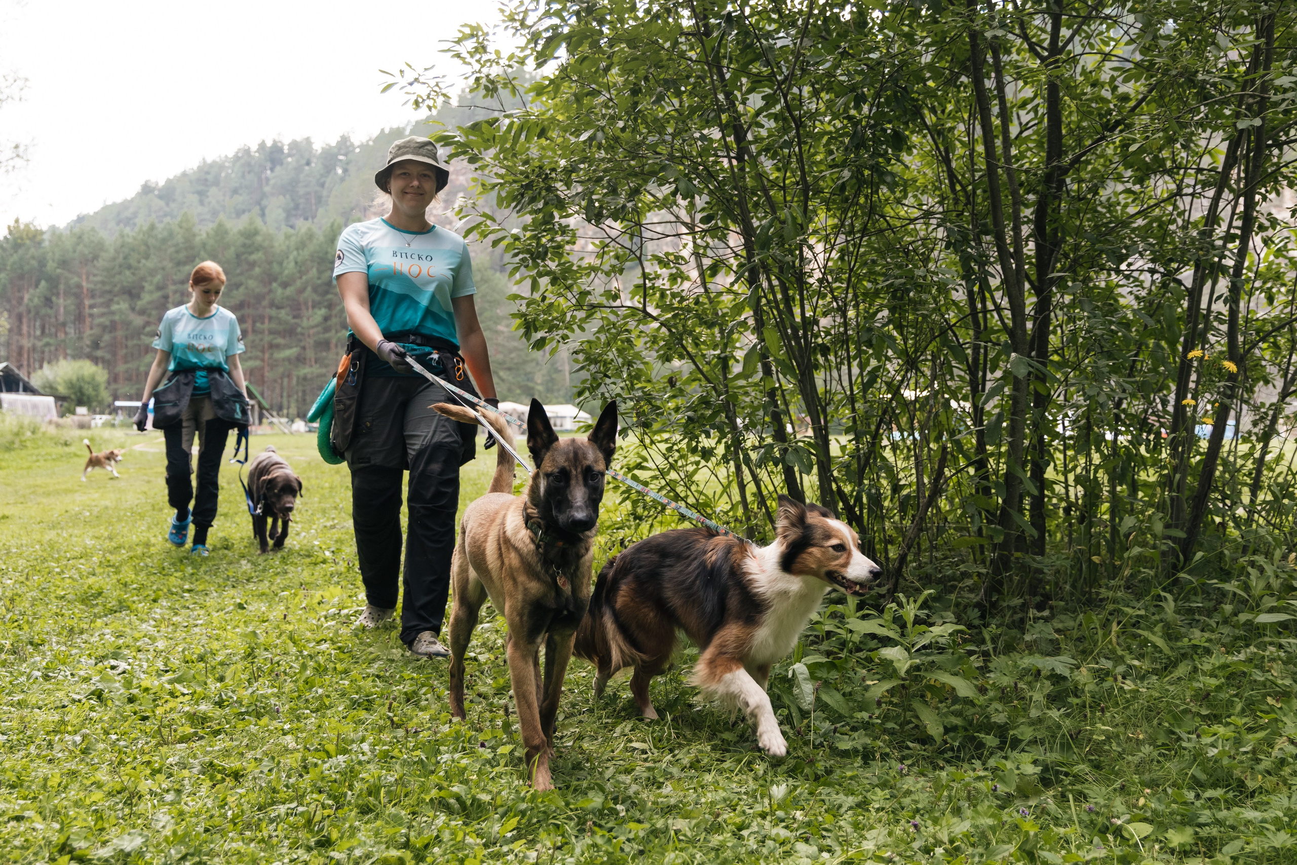 VI ОТКРЫТЫЕ КИНОЛОГИЧЕСКИЕ СОРЕВНОВАНИЯ. ЧЕЛЯБИНСКАЯ ОБЛАСТЬ 2025. Репортажный фотограф Наталья Лапцевич