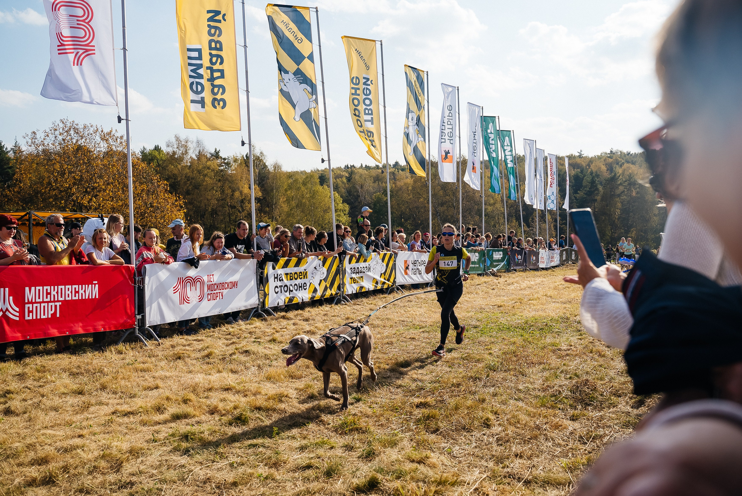 Билайн. Павел Краснов — Свадебный и репортажный фотограф в Москве