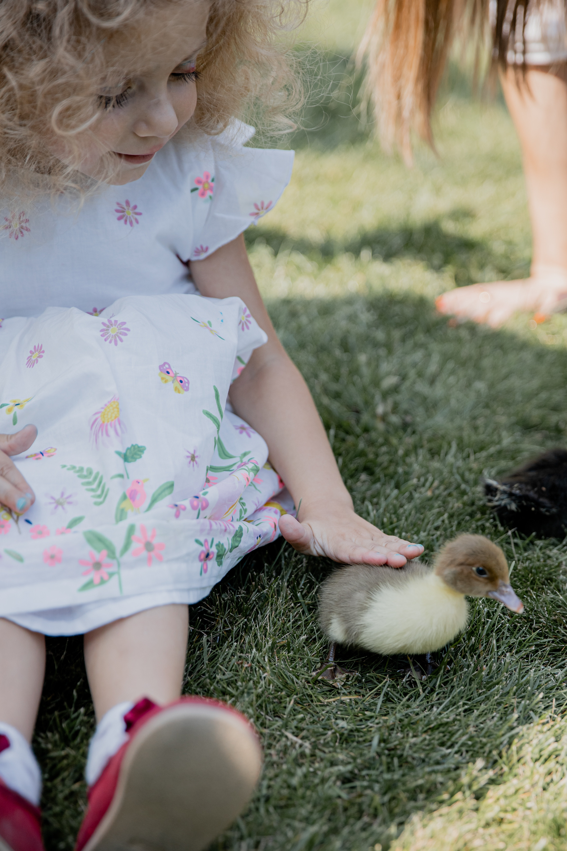 День Рождения Никуси. Свадебный фотограф Москва Европа Мария Коренчук