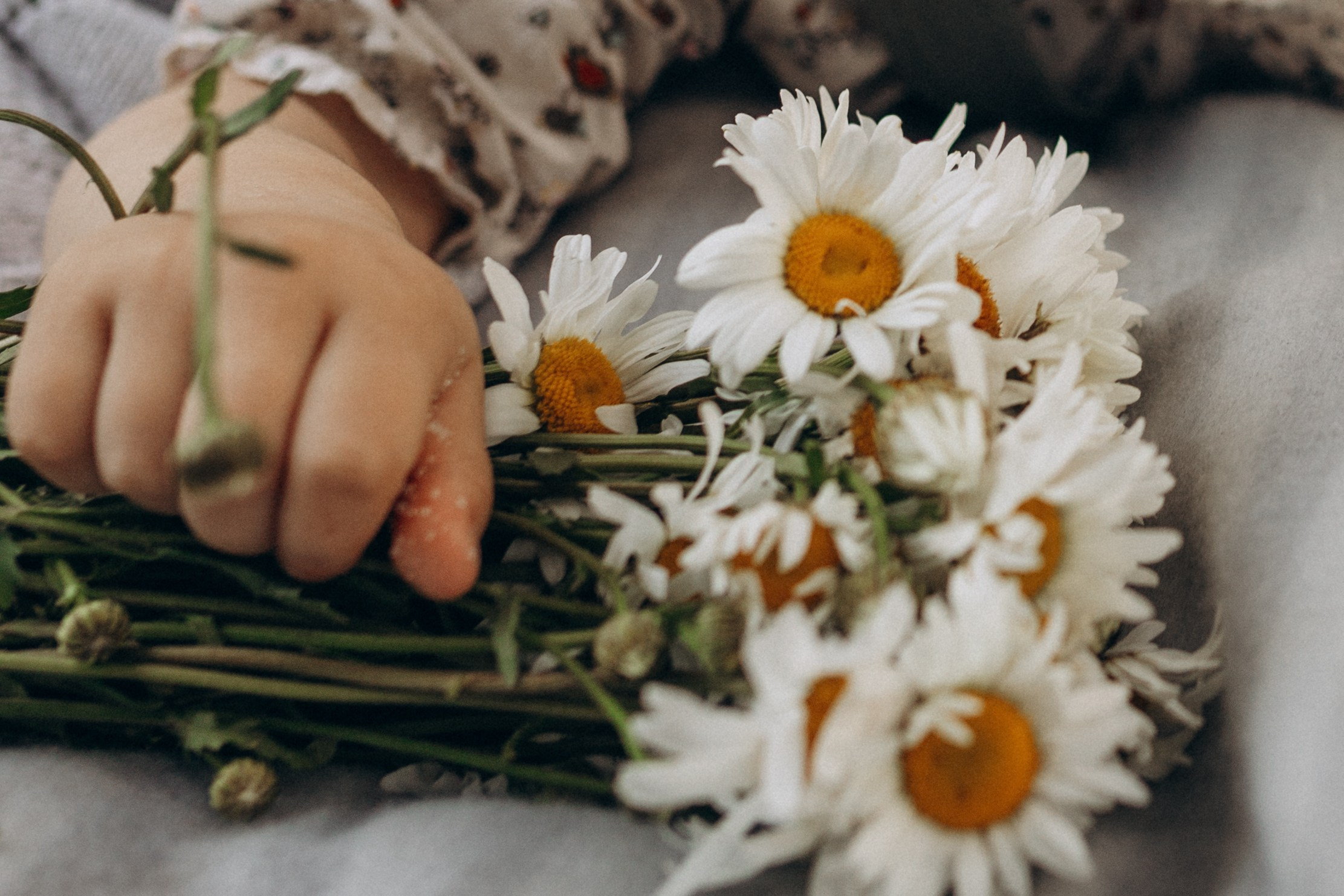 Семейная фотосессия для Александра, Каролины, Мирославы, Вани, Алины и Варюши. Фотограф в Ставрополе Svetlana Matveeva