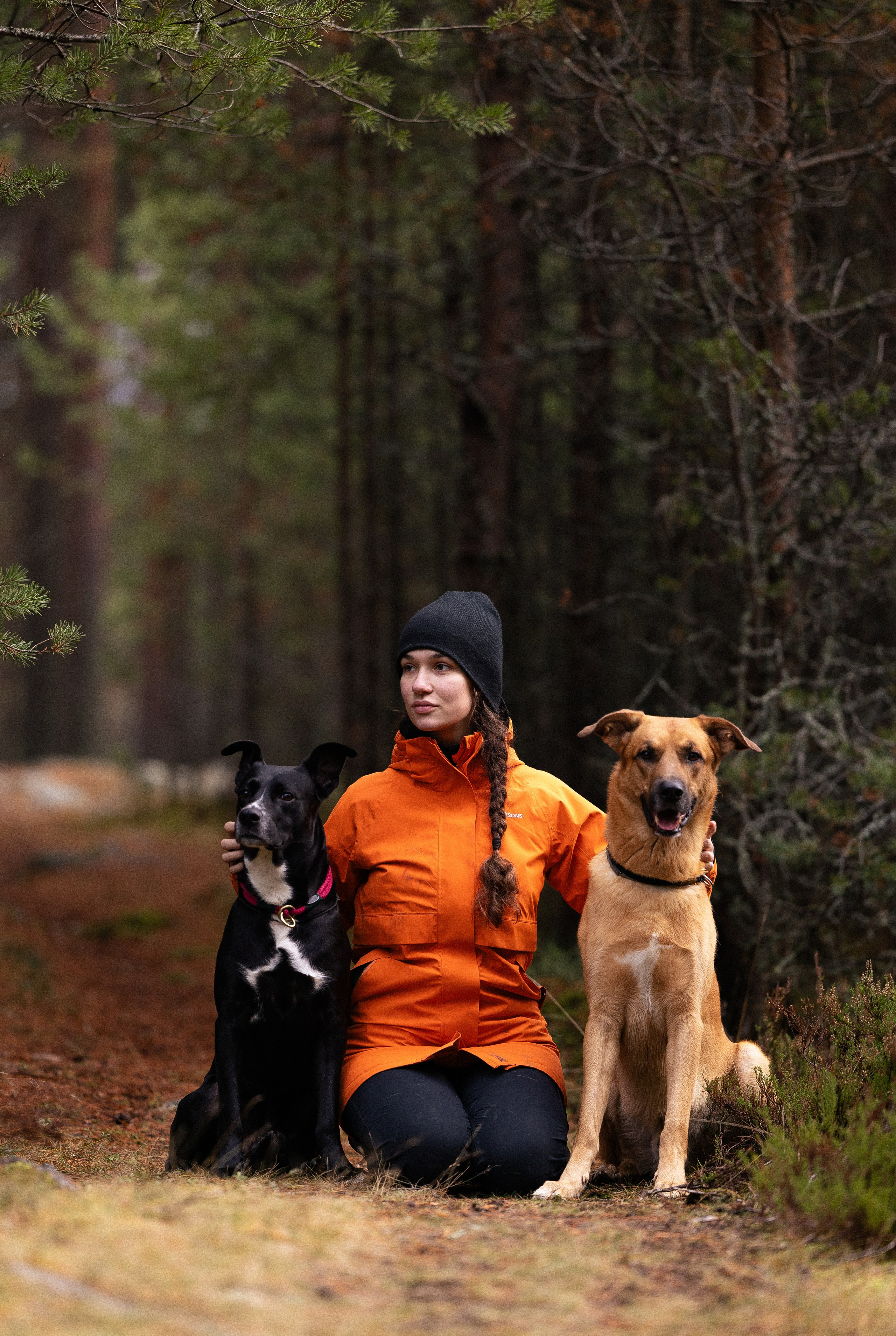 Karelia. Фотограф и видеограф анималист Аганина Дарья