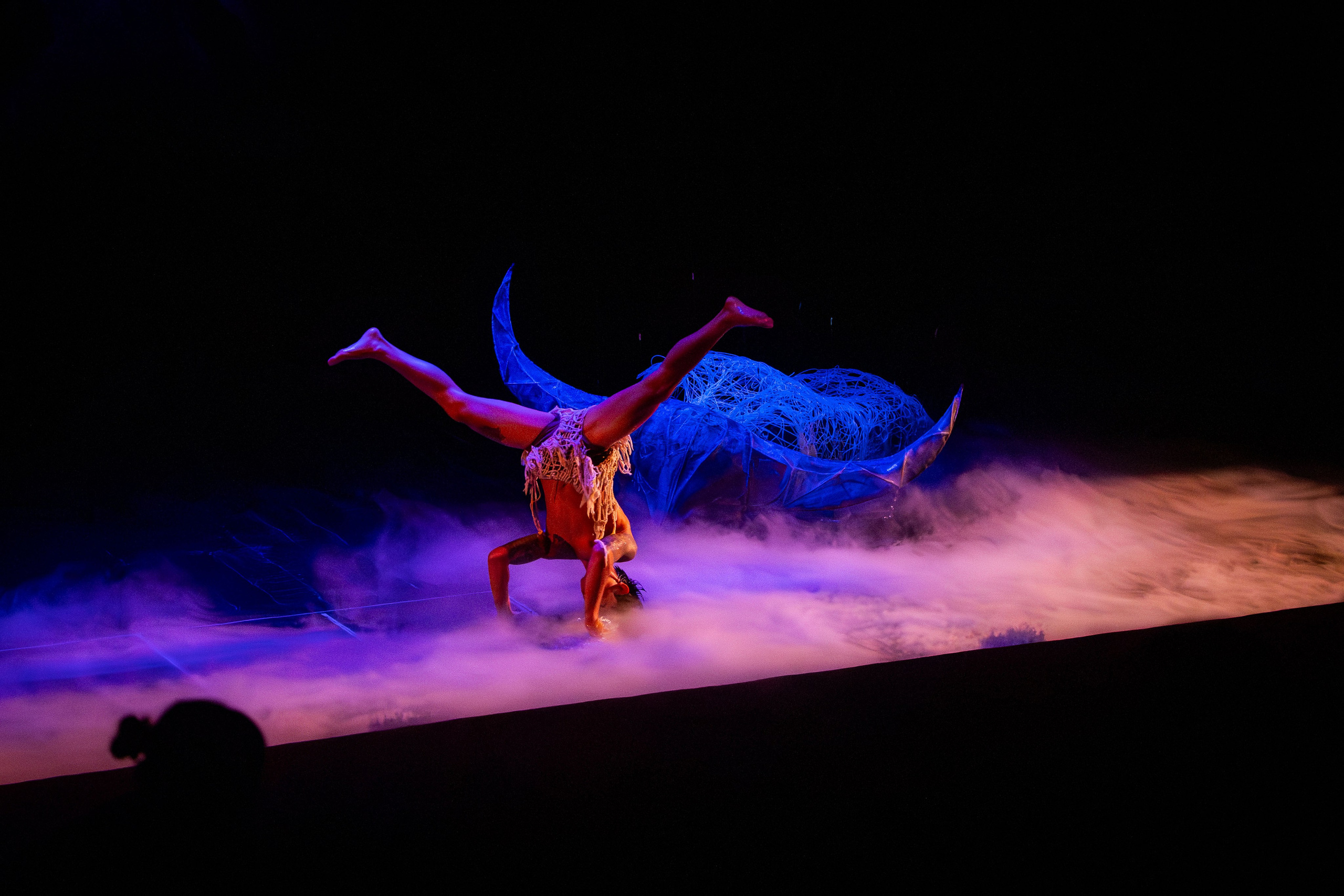 Вьетнам (зима 2025-2026). Фотограф Виноградов Константин