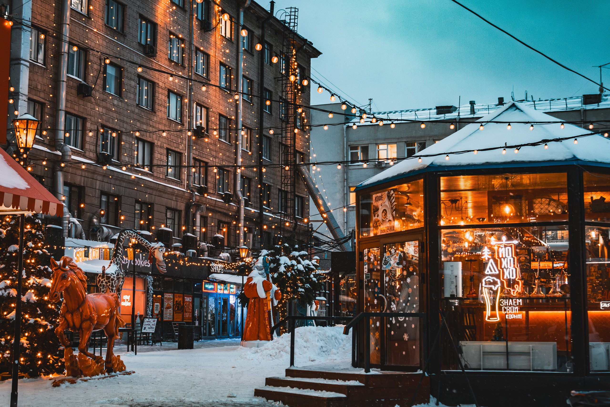 Новосибирск. Фотограф в Новокузнецке