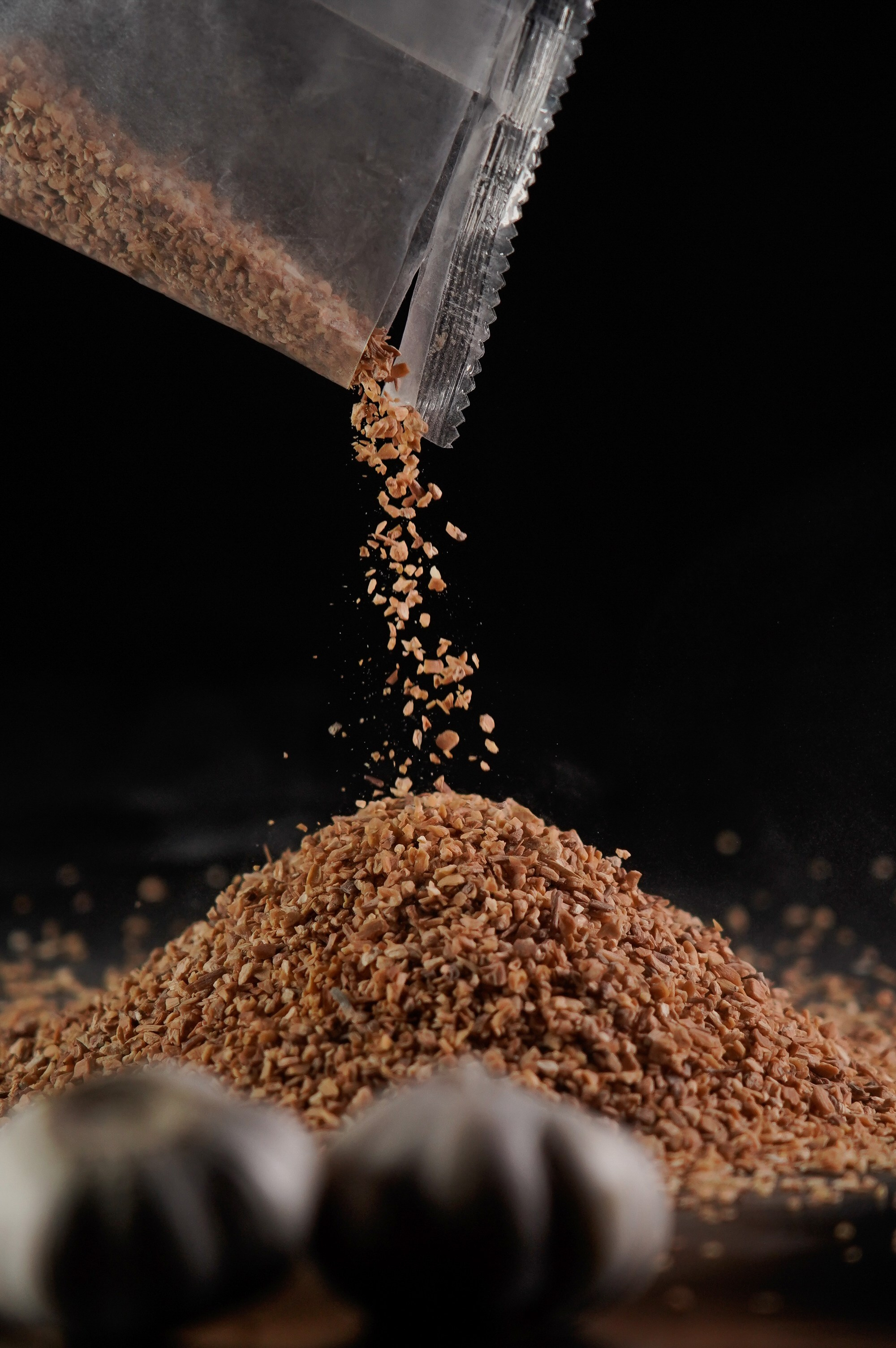 Чеснок сушеный. Анна, фотограф Москва, Зеленоград