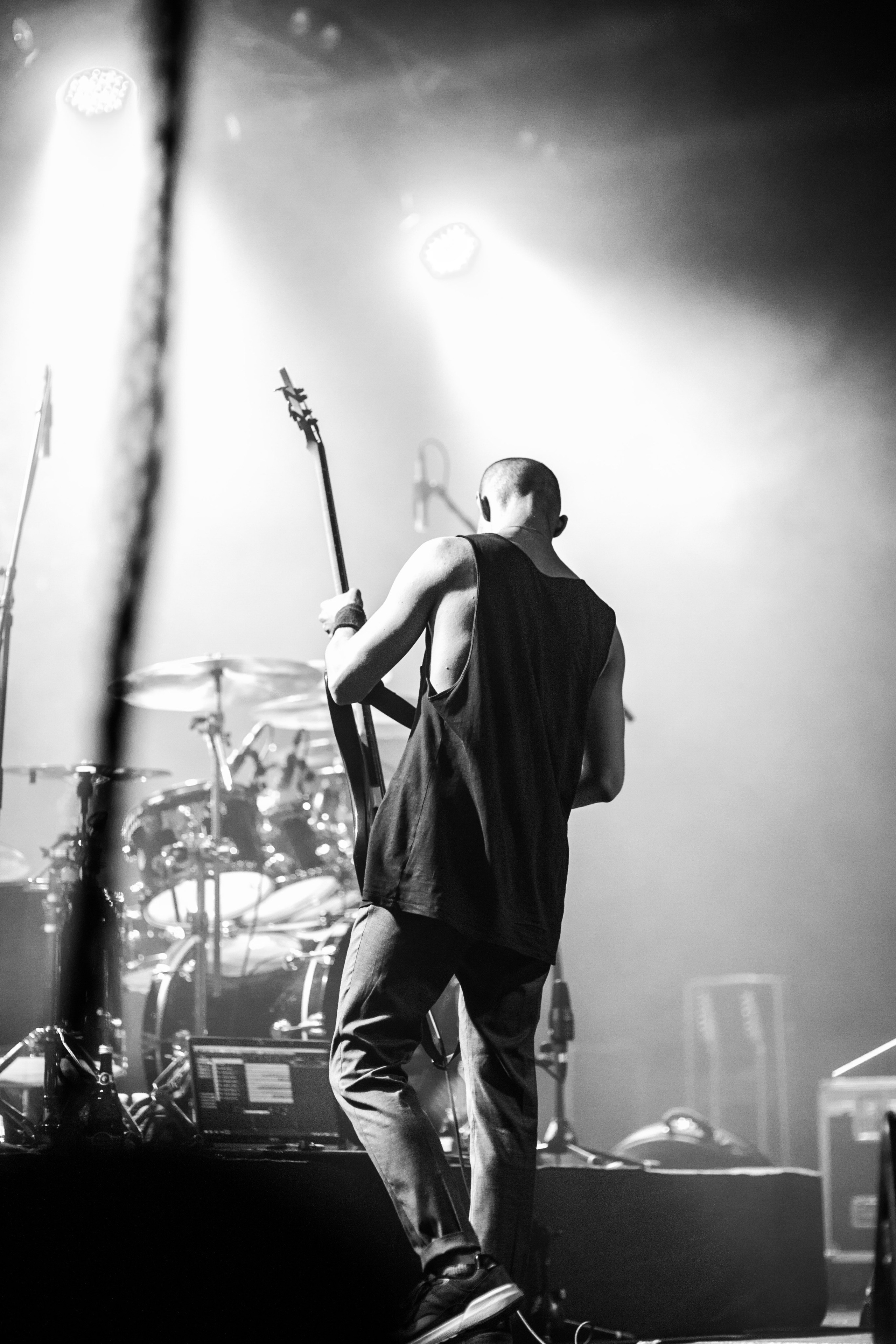 NextDoorHaven. Твой фотограф — Полосатый кот