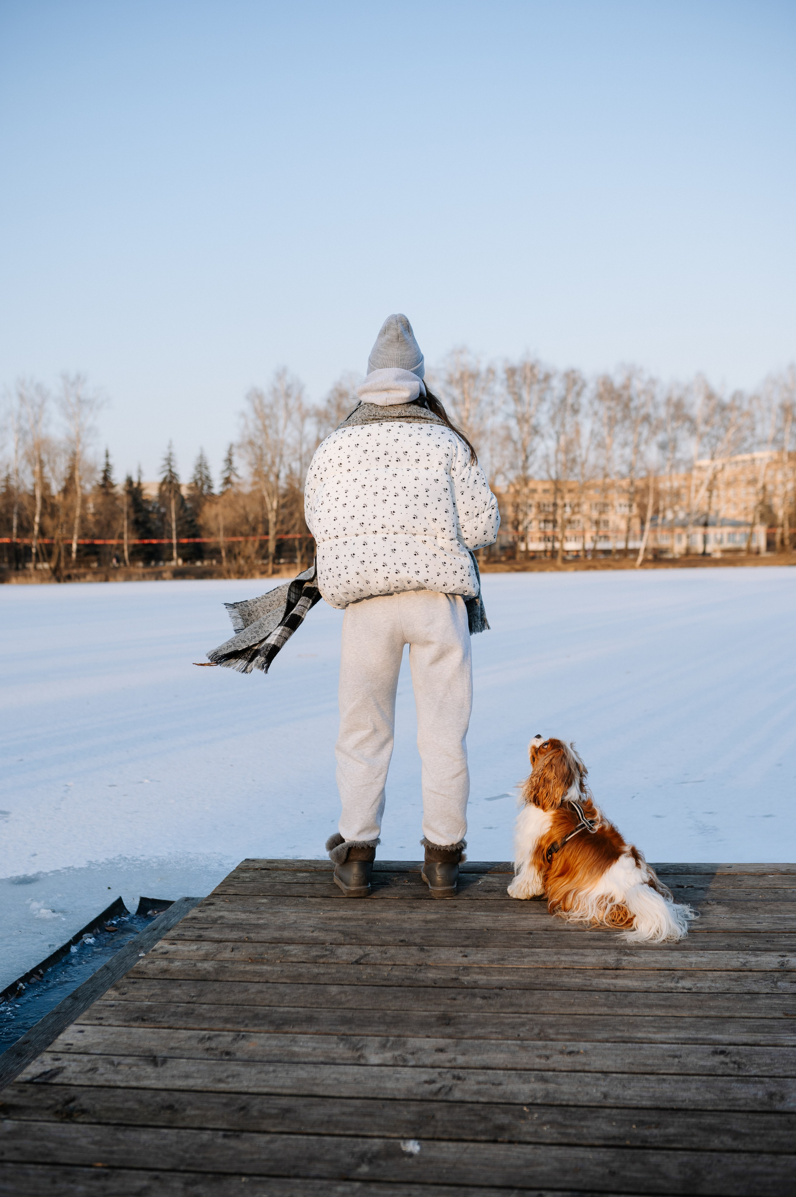 Лена и Арчи. Фотограф анималист в Москве Ольга Агушева