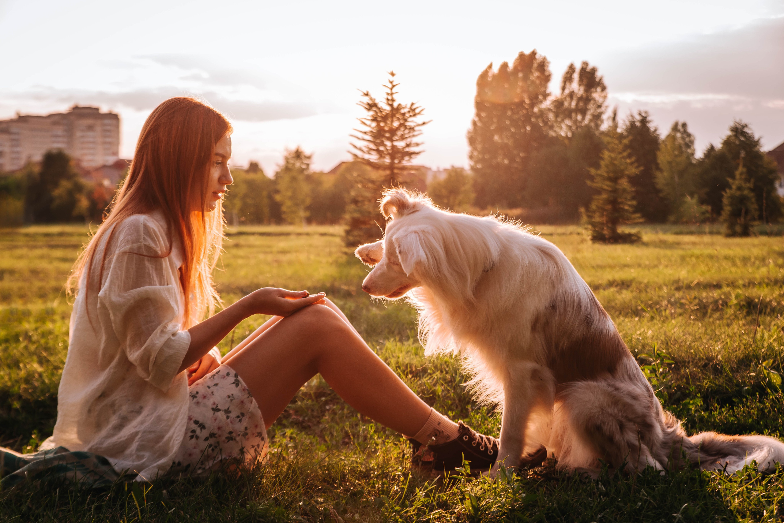 Лиза и Айви. Главная