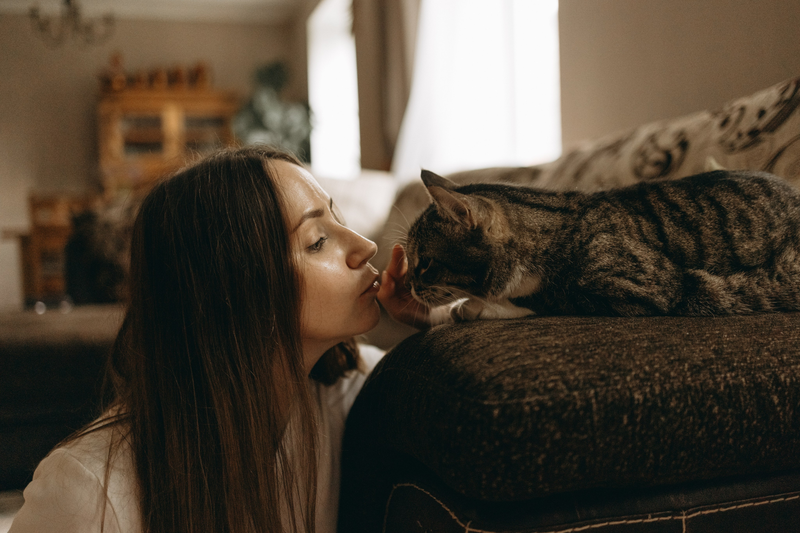 Софа и ее хвостики. Фотограф — Анималист | Санкт-Петербург