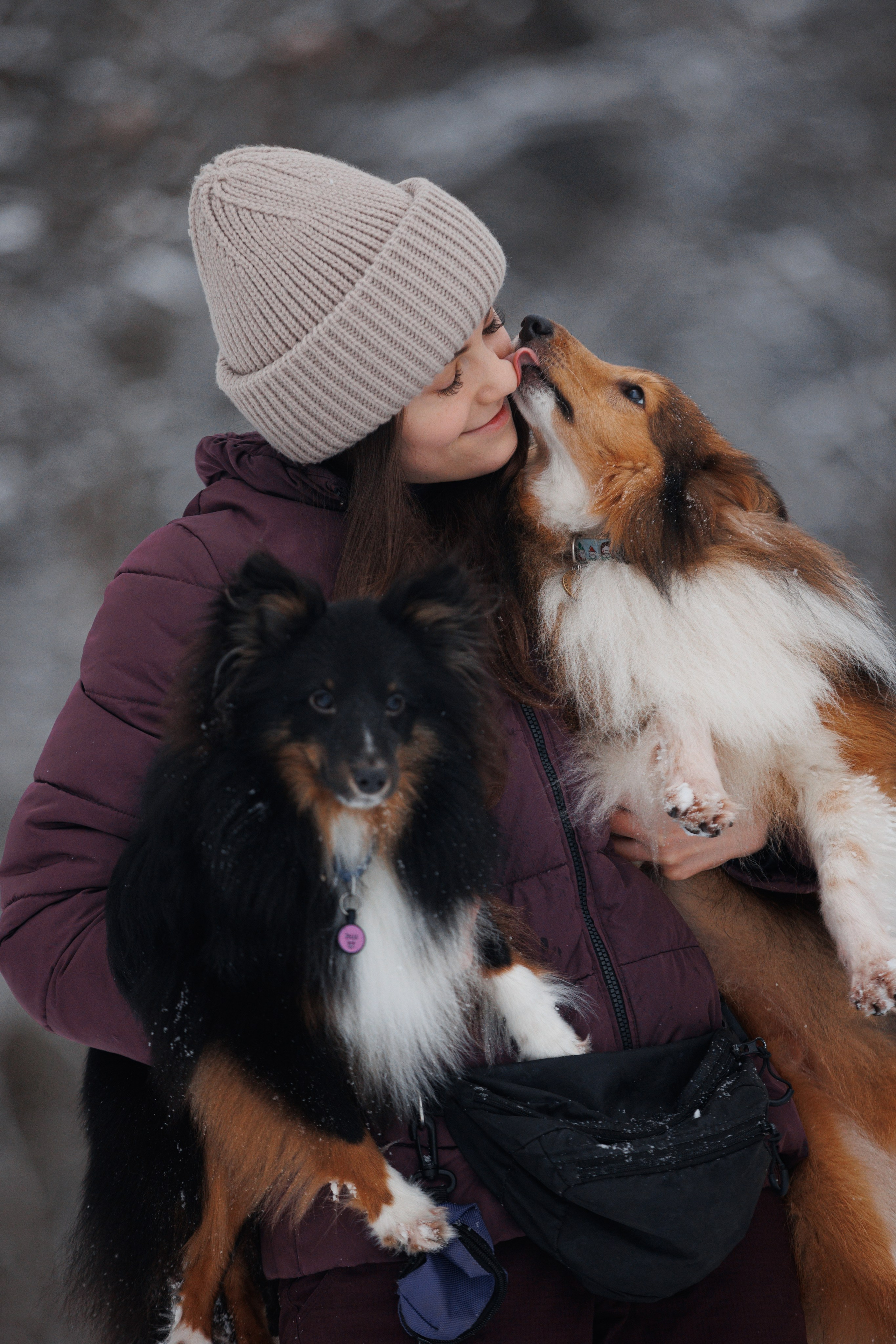 Даша и компания. Фотограф анималист Кристина Карпова, Москва