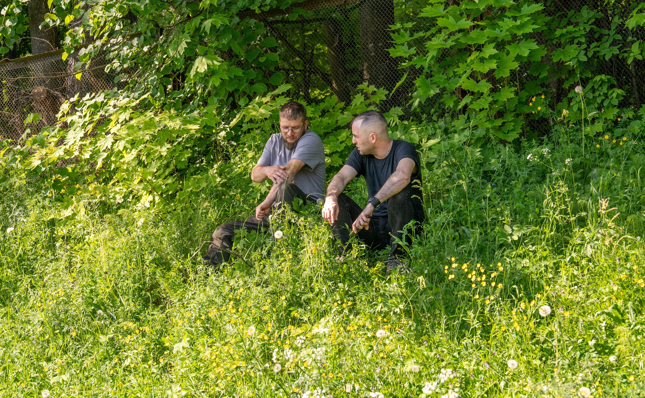 Лесная сказка. Фотограф Наталья Сорока Ижевск