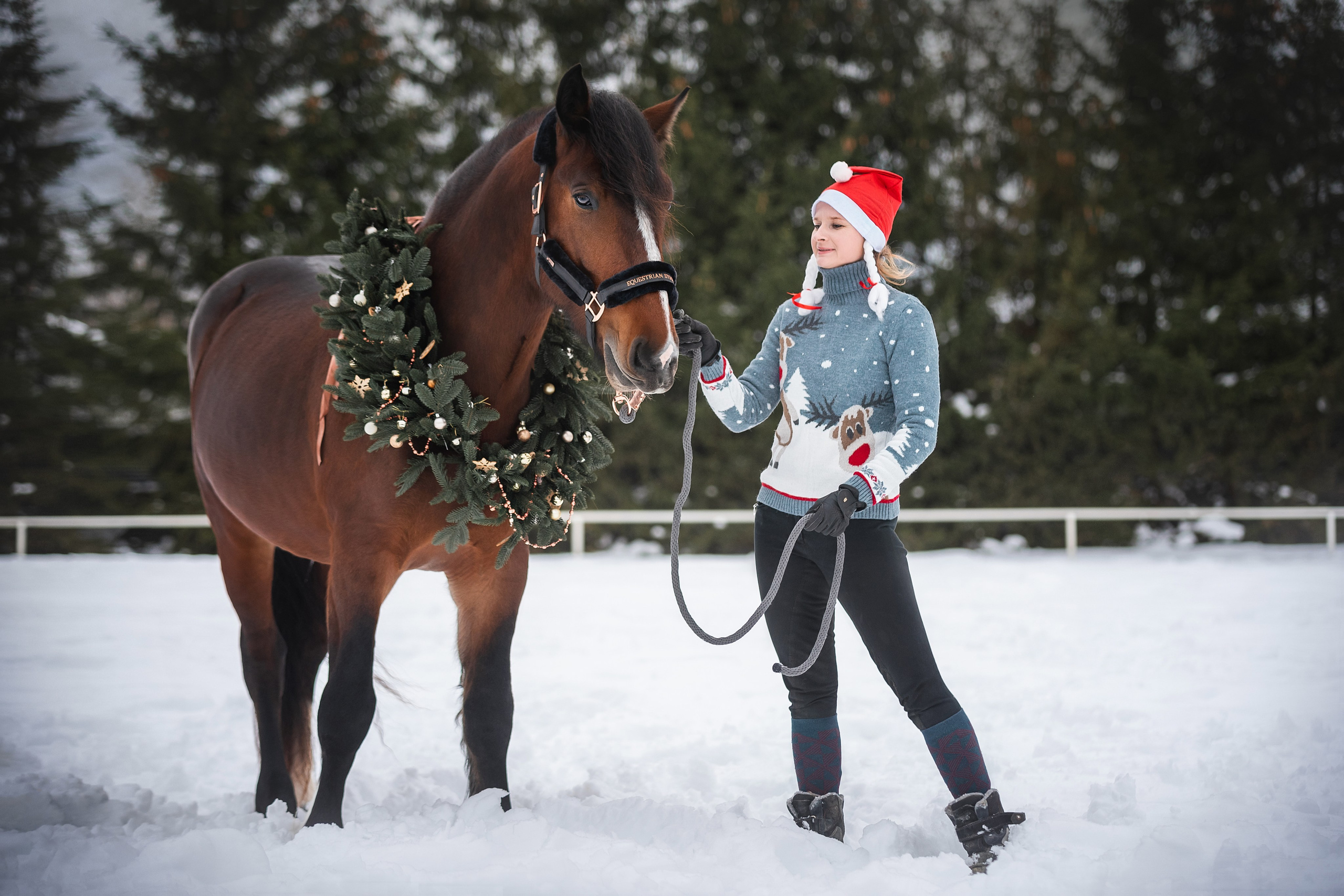 Новогодний Волконский. Конный фотограф Куракина Дарья • Фотосессии с лошадьми