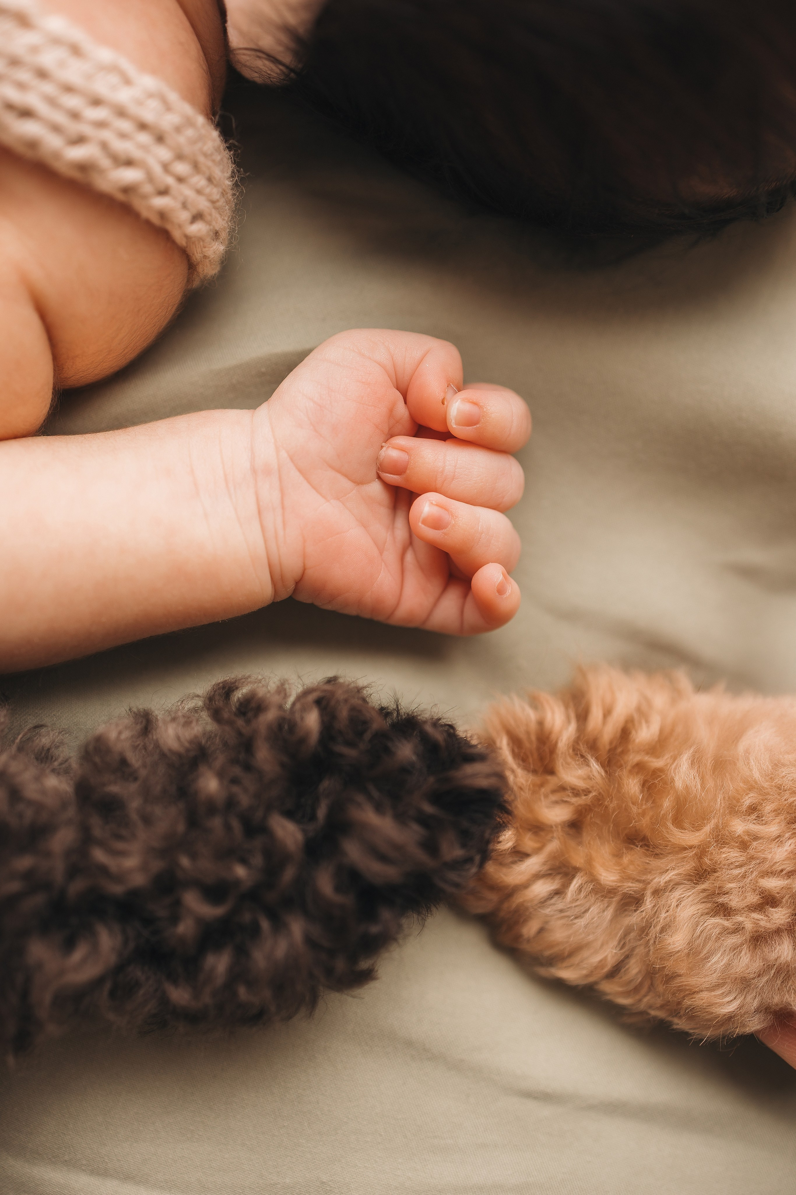 Арина. Фотограф новорождённых Newborn Москва