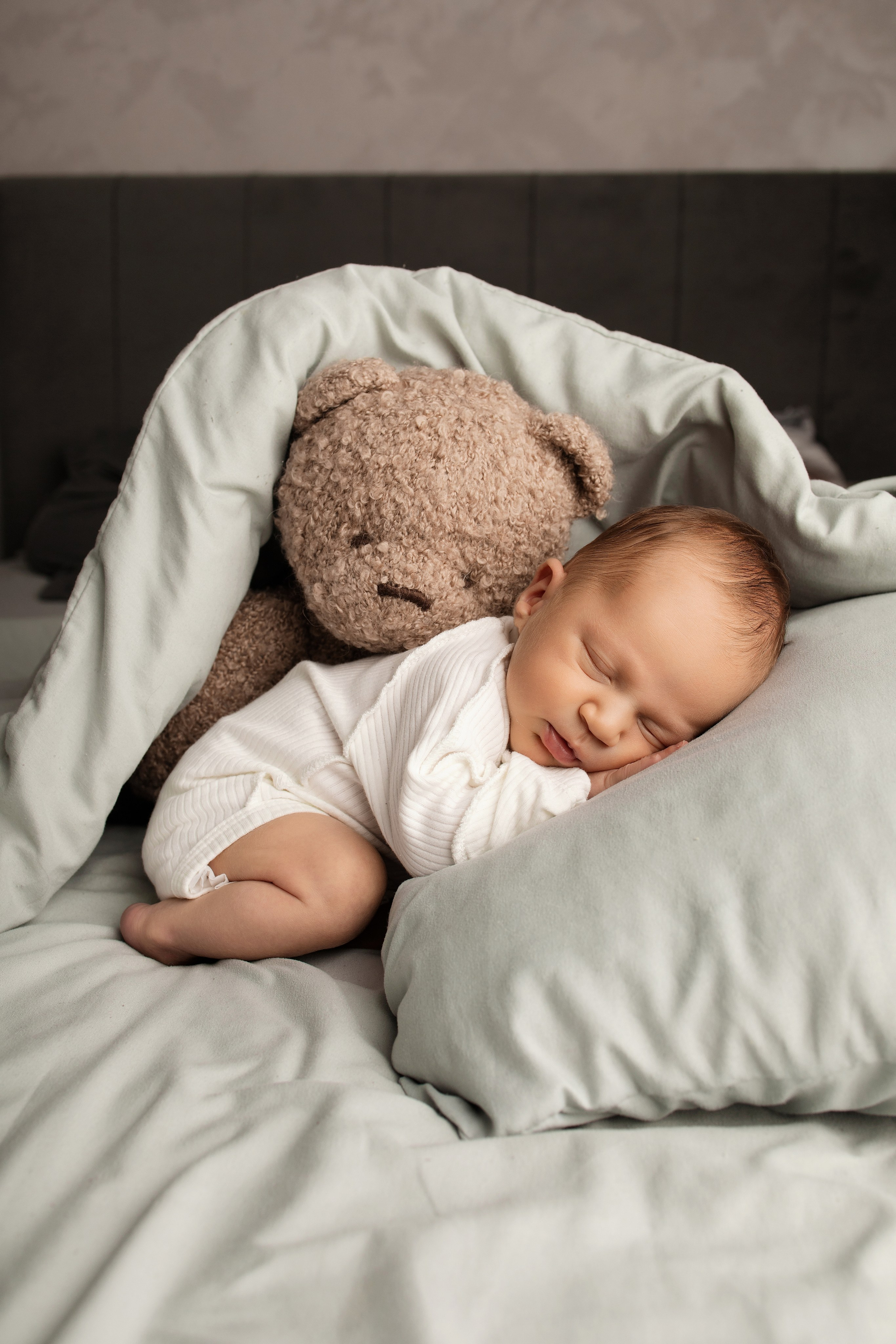 Лев 18 дней. Фотограф новорождённых Newborn Москва