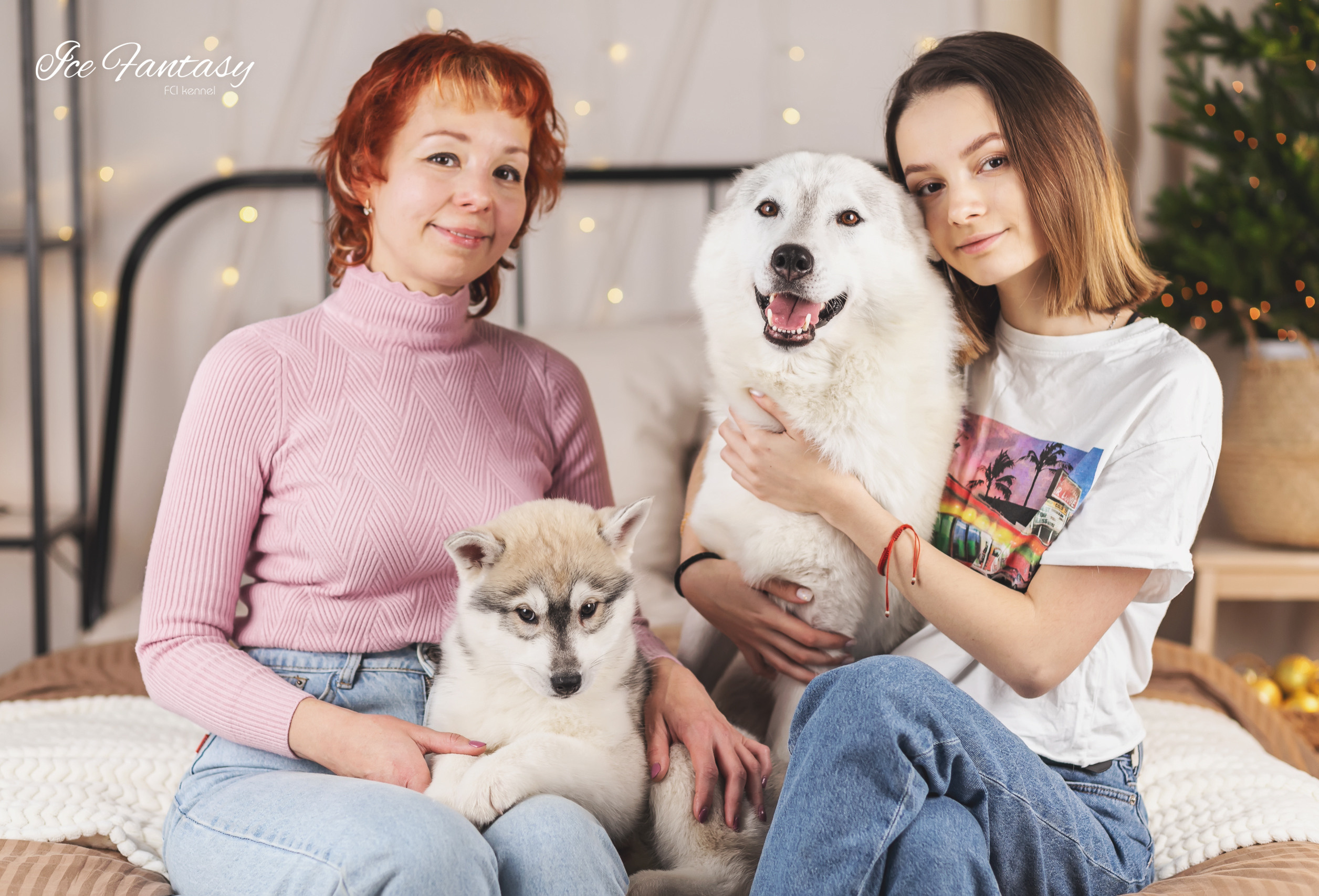 Галерея фотографий питомника Ice Fantasy. Купить щенка Вельш-корги-кардиган в семейном питомнике — Ice Fantasy