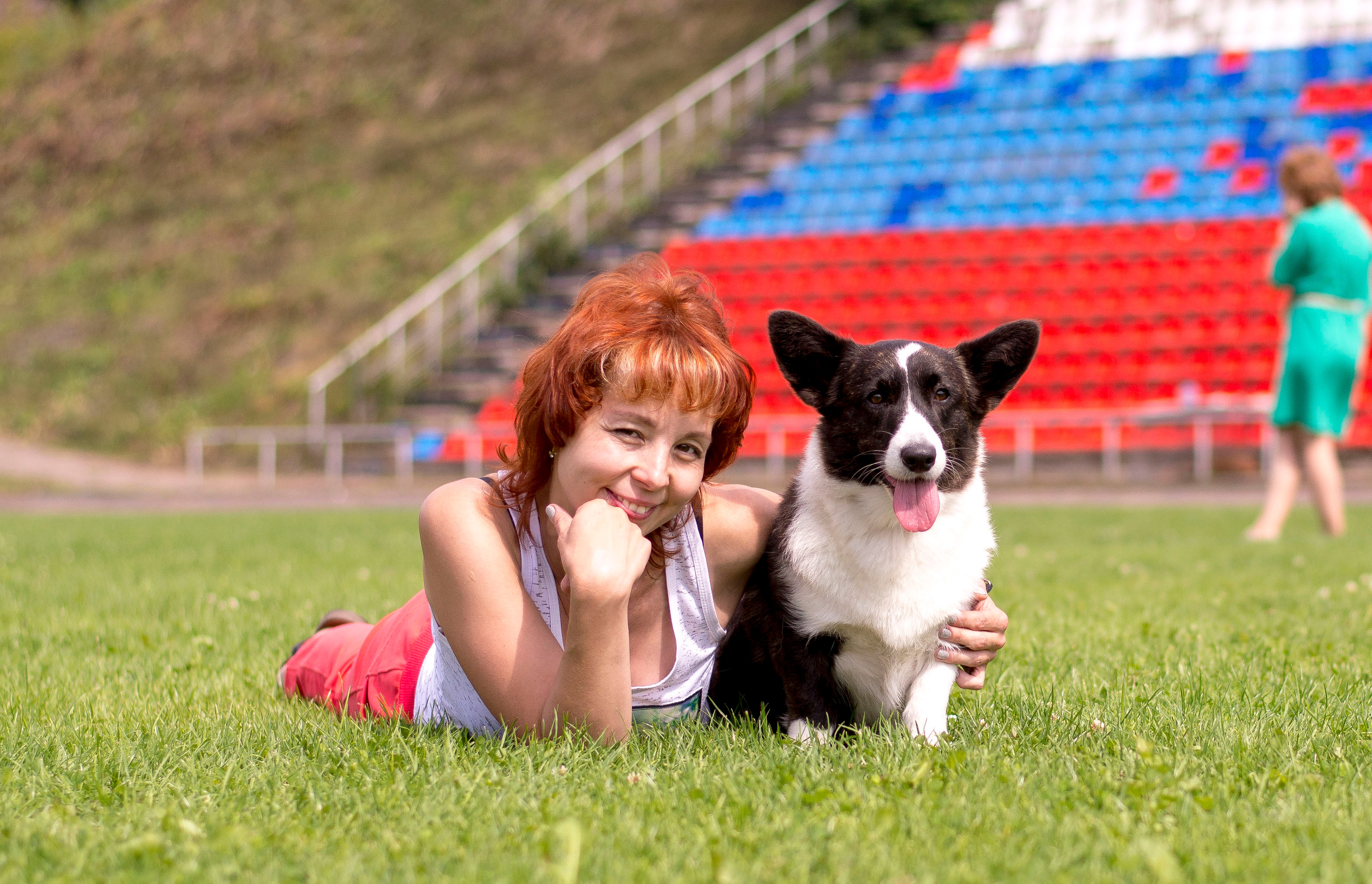 Галерея фотографий питомника Ice Fantasy. Купить щенка Вельш-корги-кардиган в семейном питомнике — Ice Fantasy