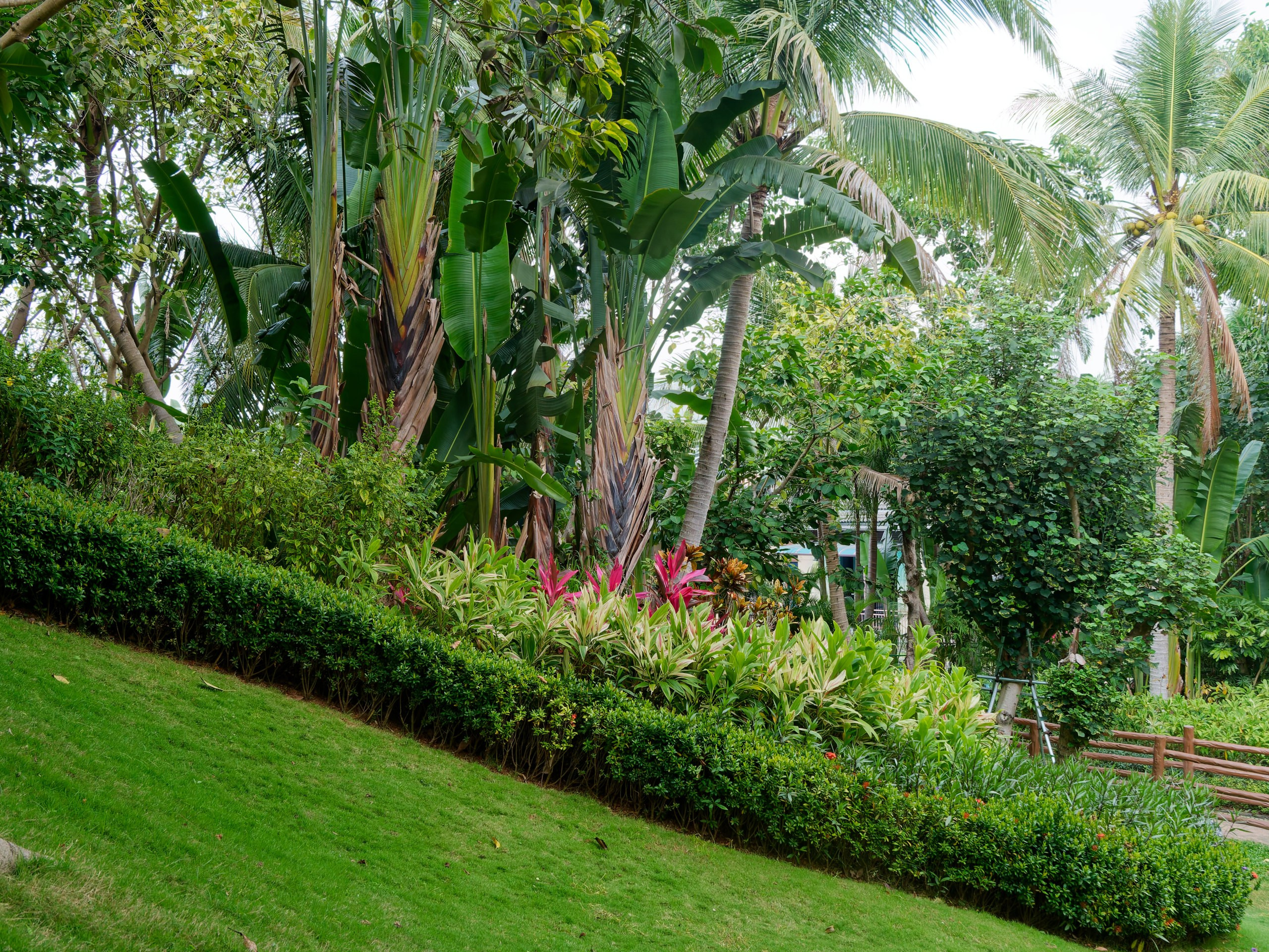 Хайнань 2026, Горячий источник DoubleTree by Hilton Lingshui. Фотопрогулки по Миру