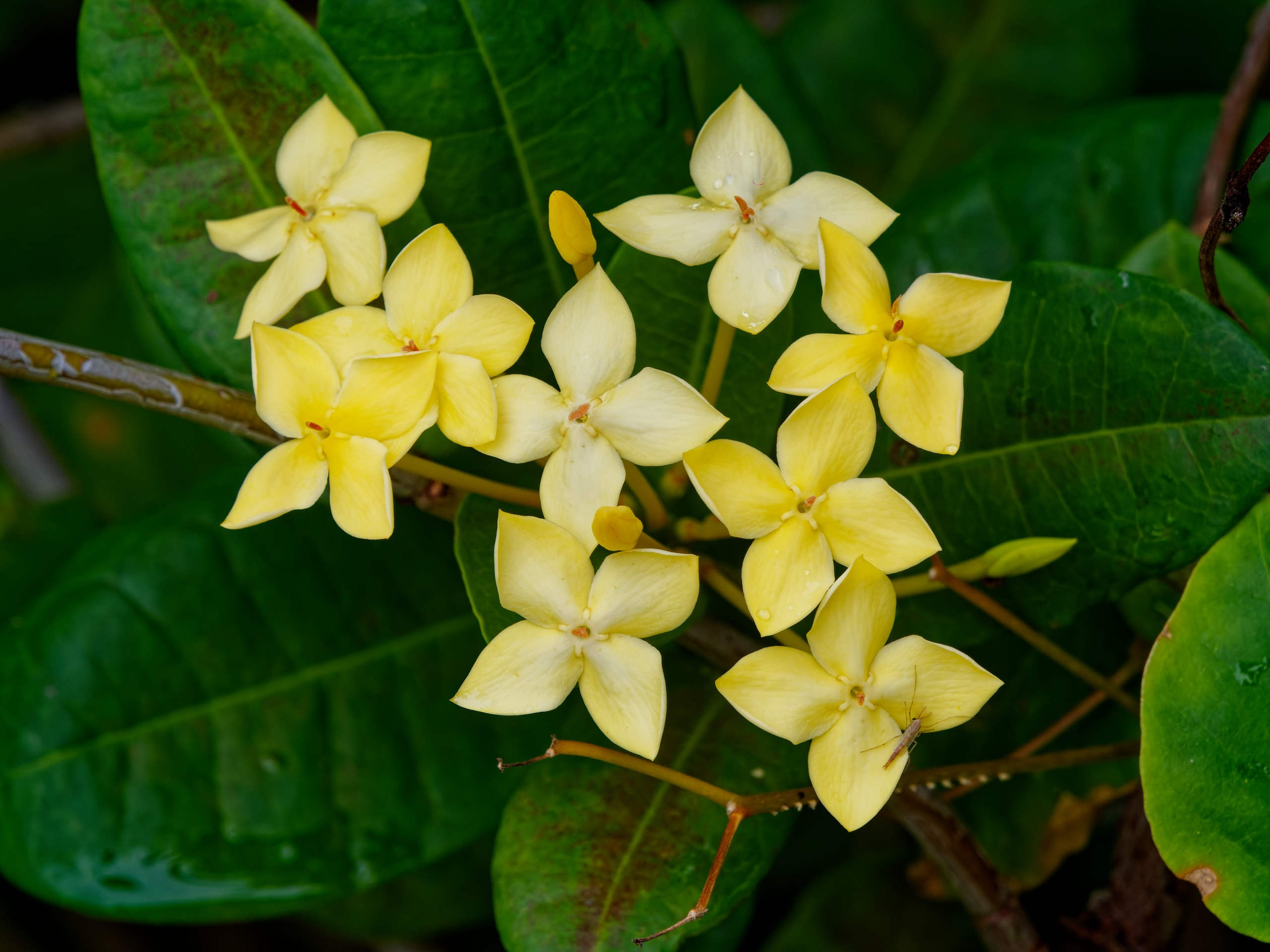 Нячанг 2025 (4). Избранные фотографии