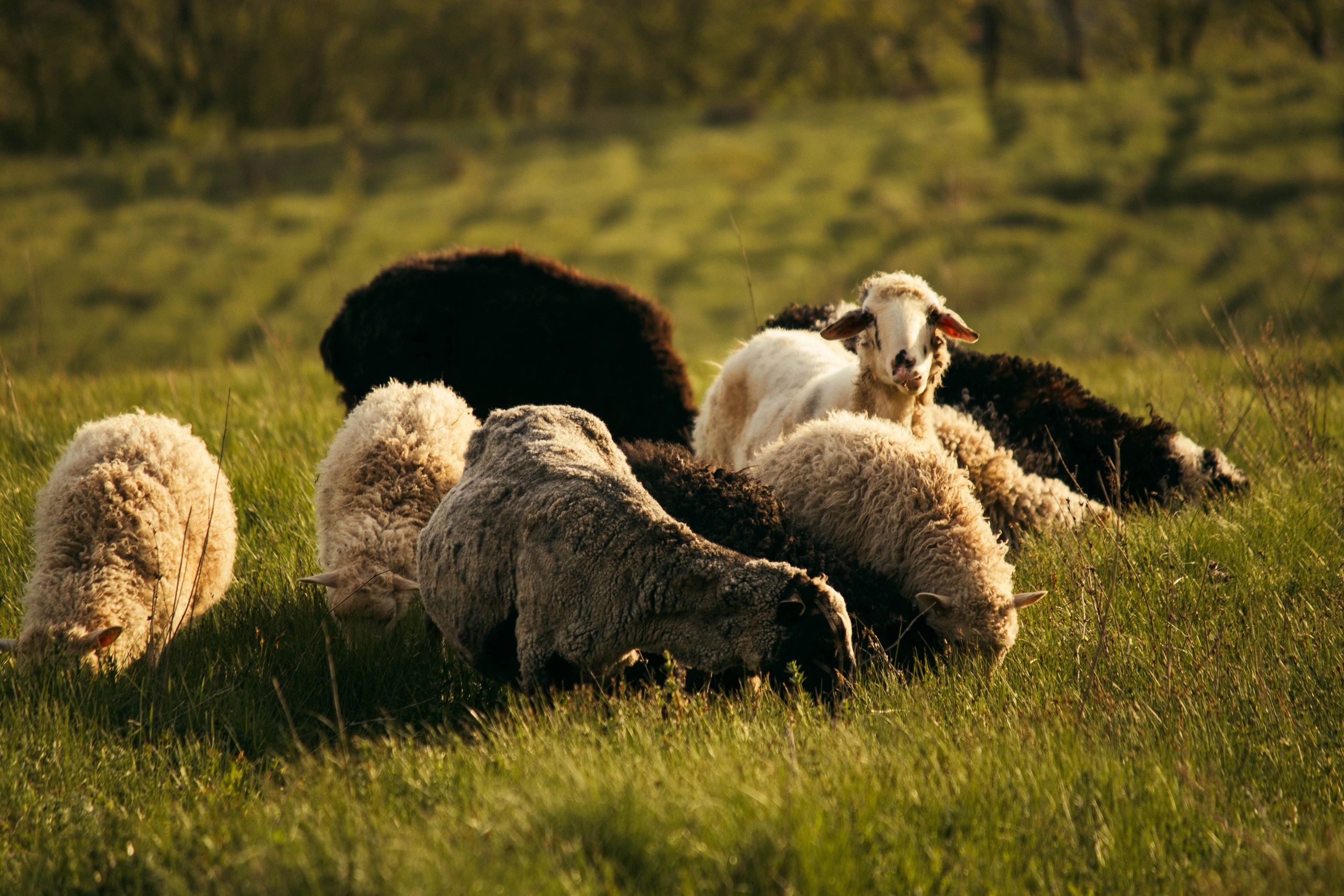 Сокольская гора. Фотограф и видеограф в Бугульме Аня Трутнева