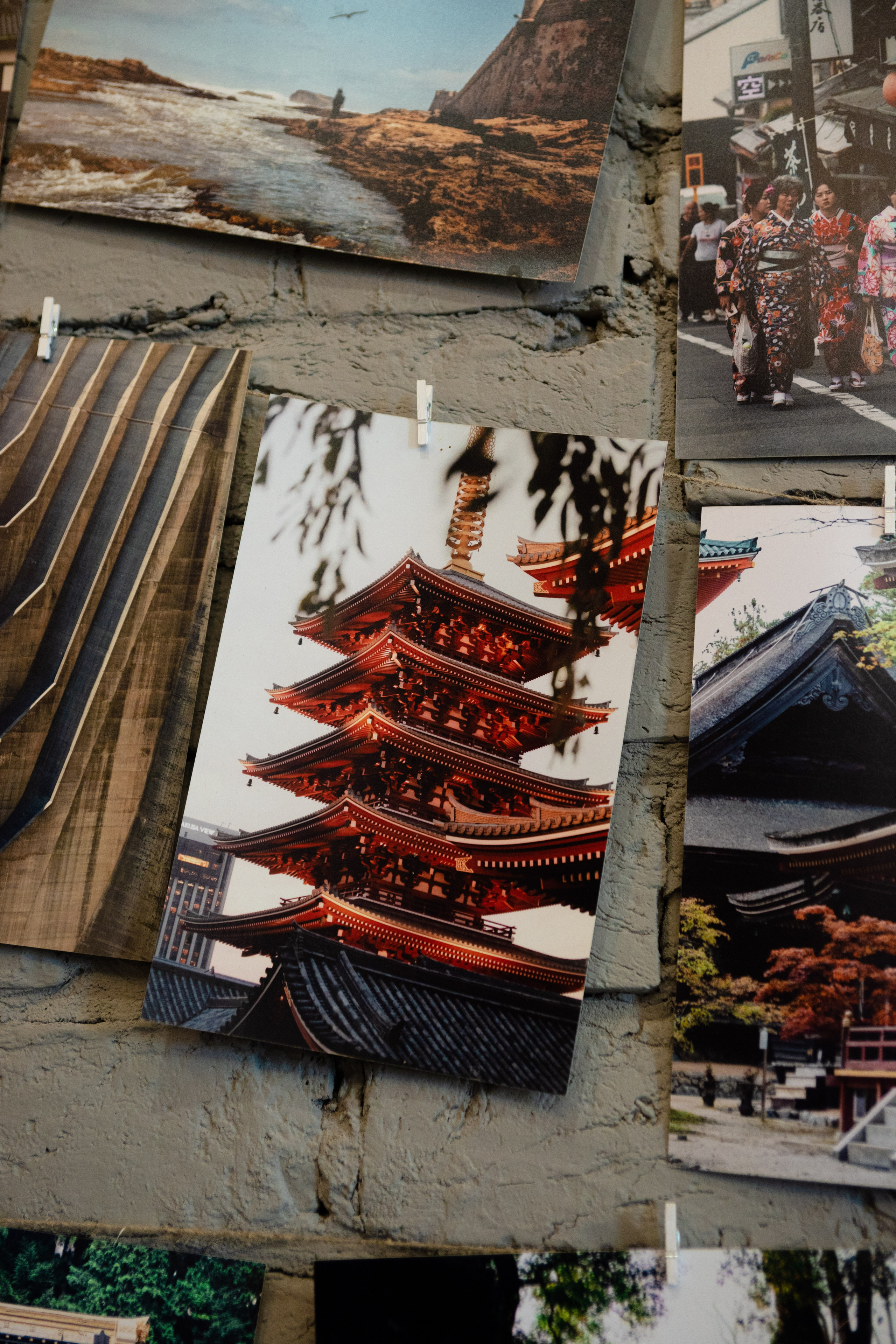 Полина (поиск работы зарубежом). Бренд и контентные фотосессии, портреты и лавстори в Санкт-Петербурге